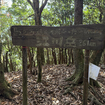 江川岳。ここは眺望なし。