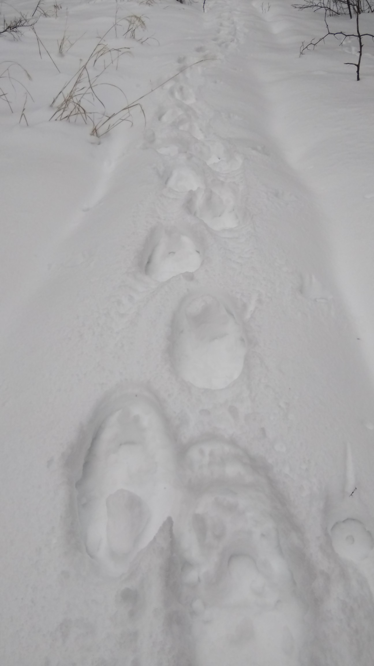 私のワカン跡～