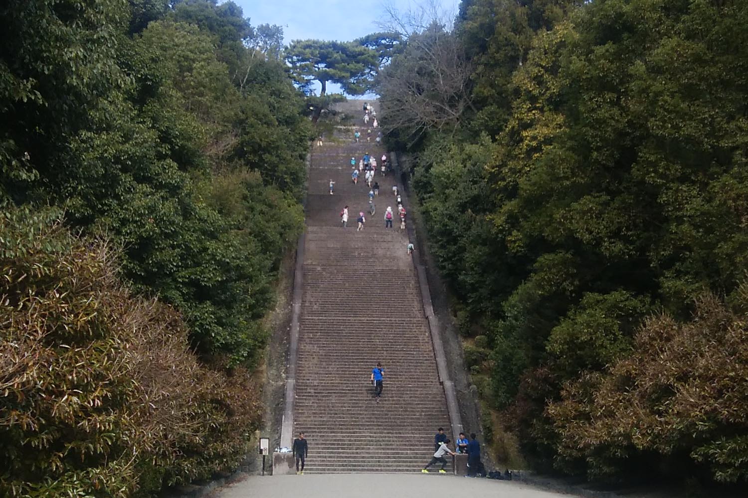 伏見桃山御陵階段ダッシュ５本 青安平さんの京都一周トレイルの活動データ Yamap ヤマップ
