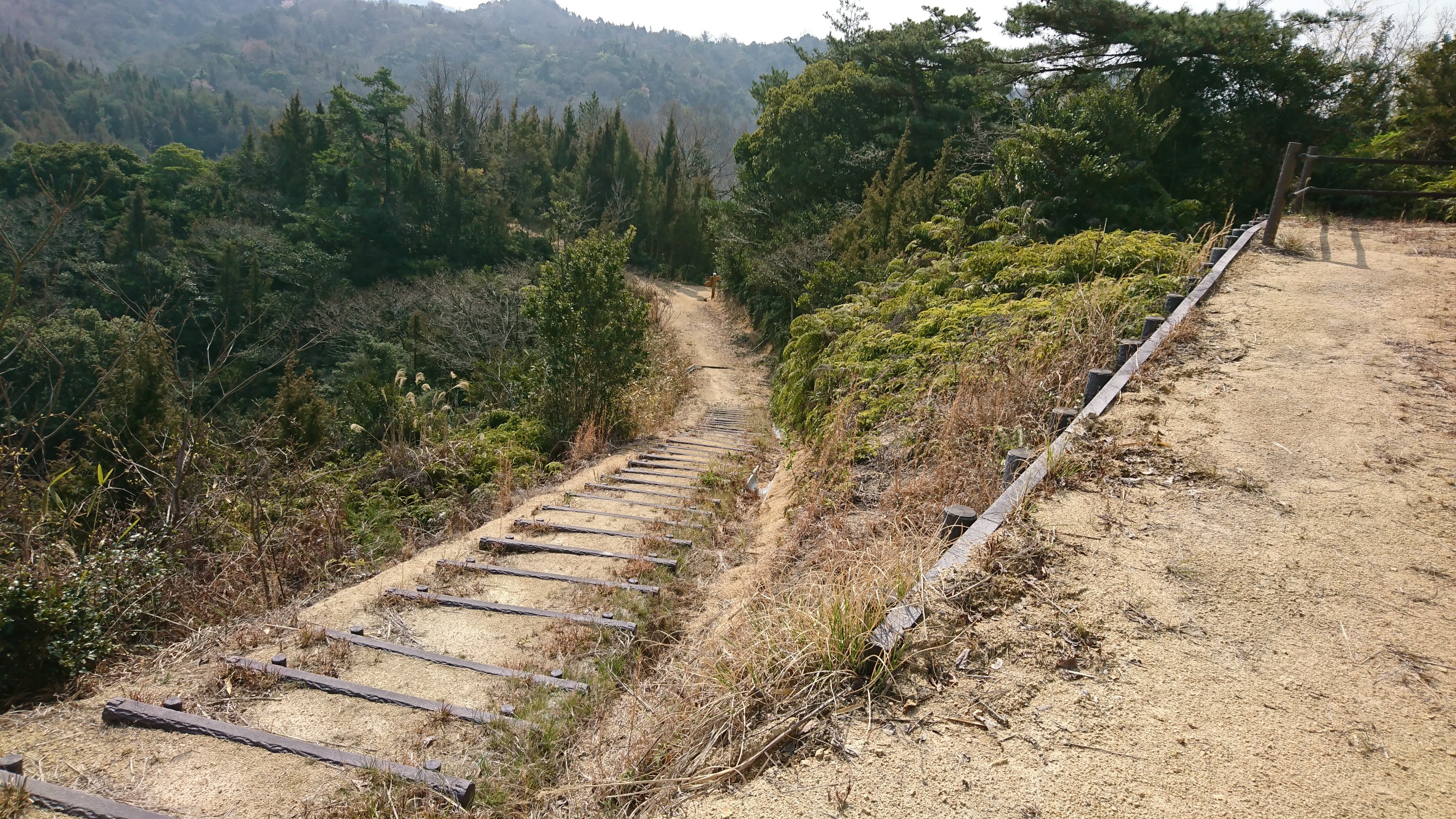 さぬきの森 森林浴公園を散策 / つりよしさんのさぬき市の活動日記 