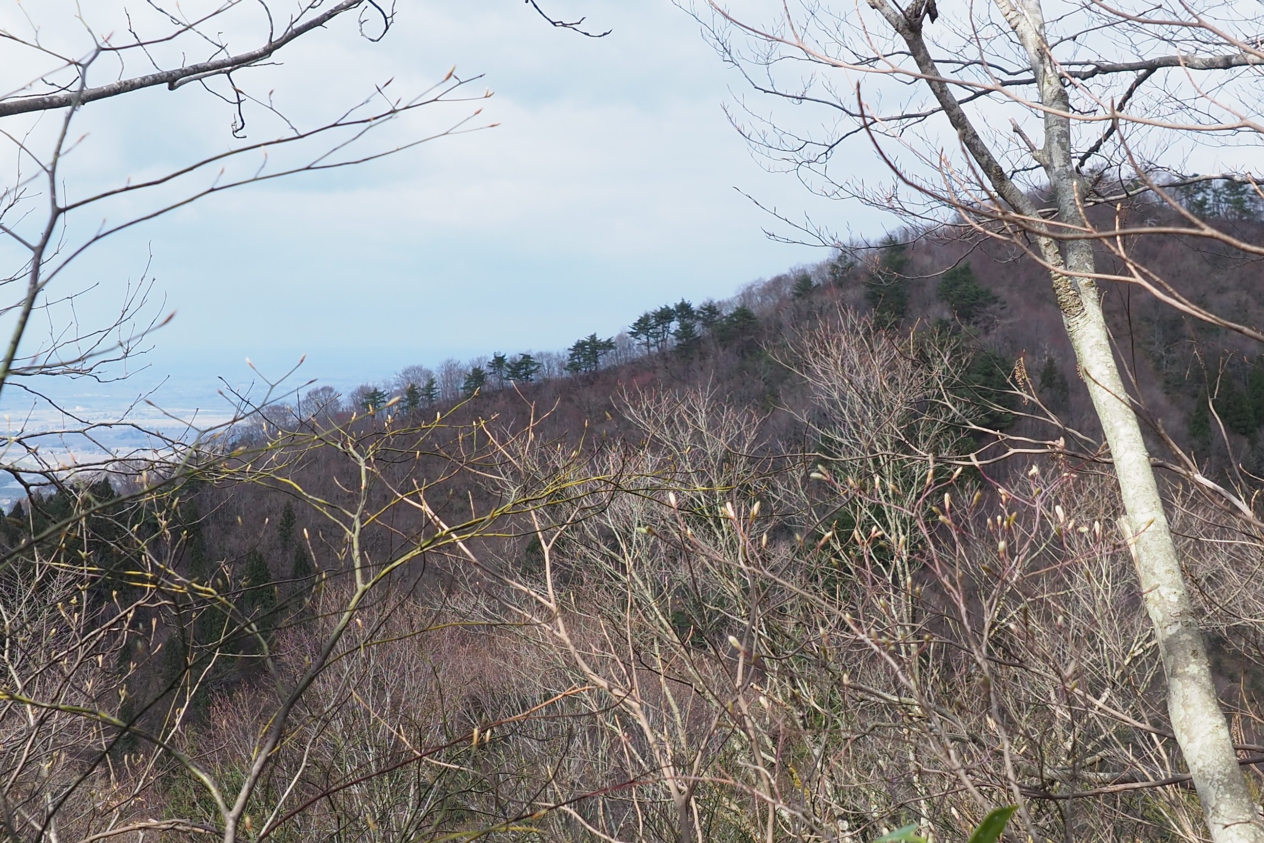 木六山・銀次郎山 S30年の写真と同じ辺りかと