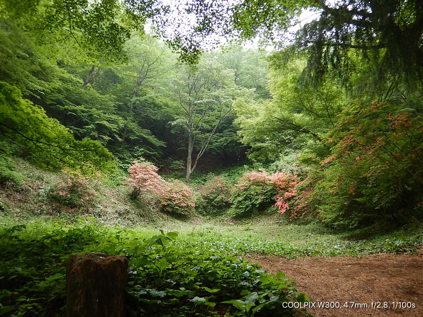 陣馬山 堂所山 景信山 小仏城山 高尾山 縦走 飛行機さんの高尾山 陣馬山 景信山の活動データ Yamap ヤマップ