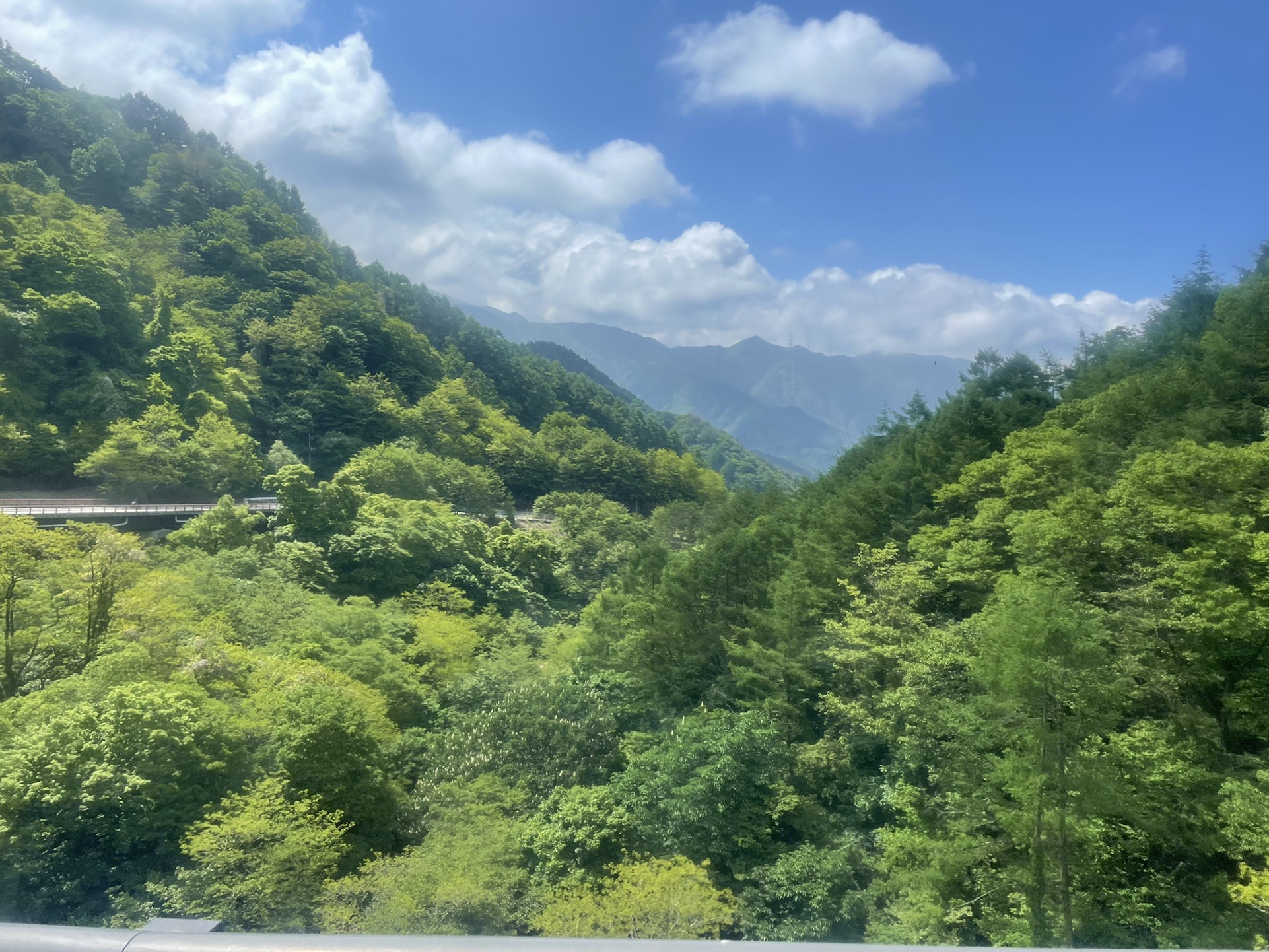 イワカガミ見られるかなぁ 黒川鶏冠山 麹 さんの大菩薩嶺 鶏冠山 大マテイ山の活動データ Yamap ヤマップ