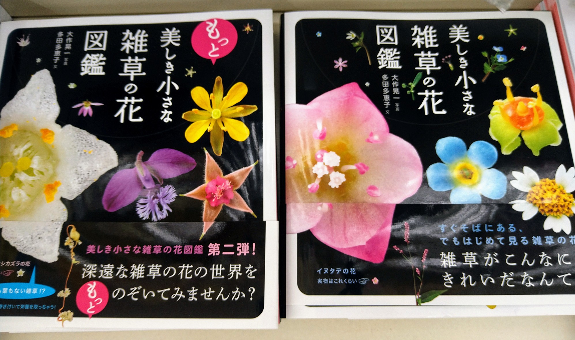 昨日の続きのウォーキング 21 03 06 ももちゃんさんのウォーキングの活動データ Yamap ヤマップ