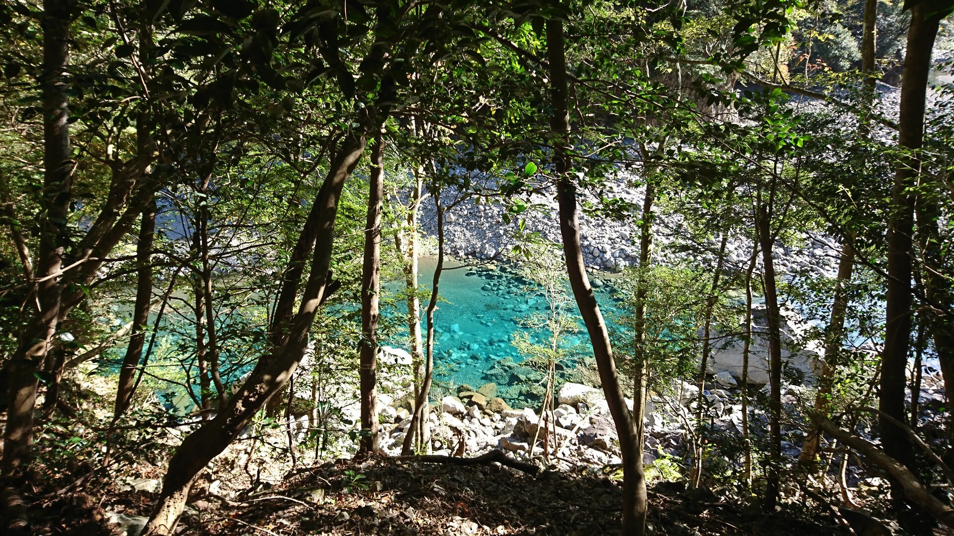 モコウのページ YAMAP / ヤマップ