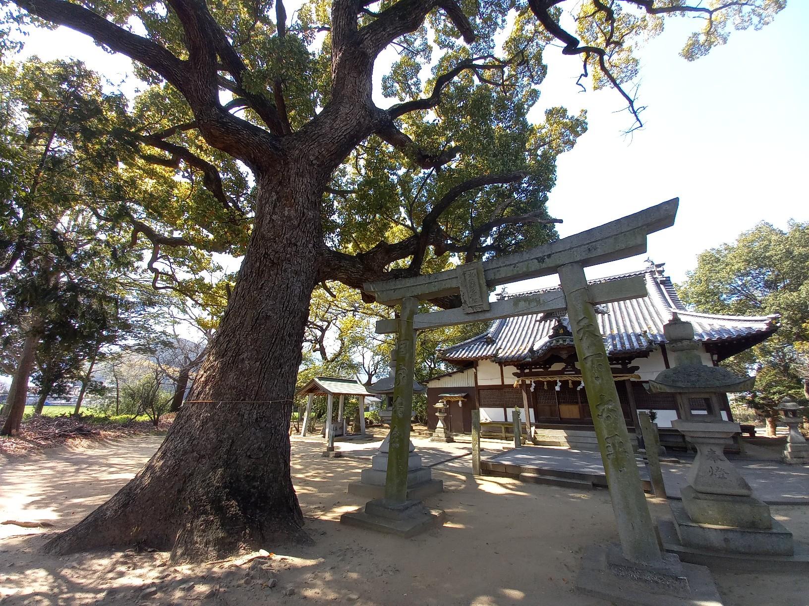五岳山はいつやるの？ 鶴ヶ峰・磨臼山・如意山・鉢伏山 / れおきっどさんの大麻山・象頭山・琴平山の活動データ | YAMAP / ヤマップ