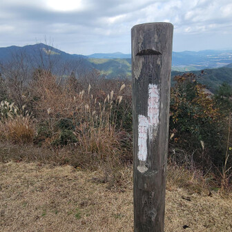 5年ぶりの大根地山