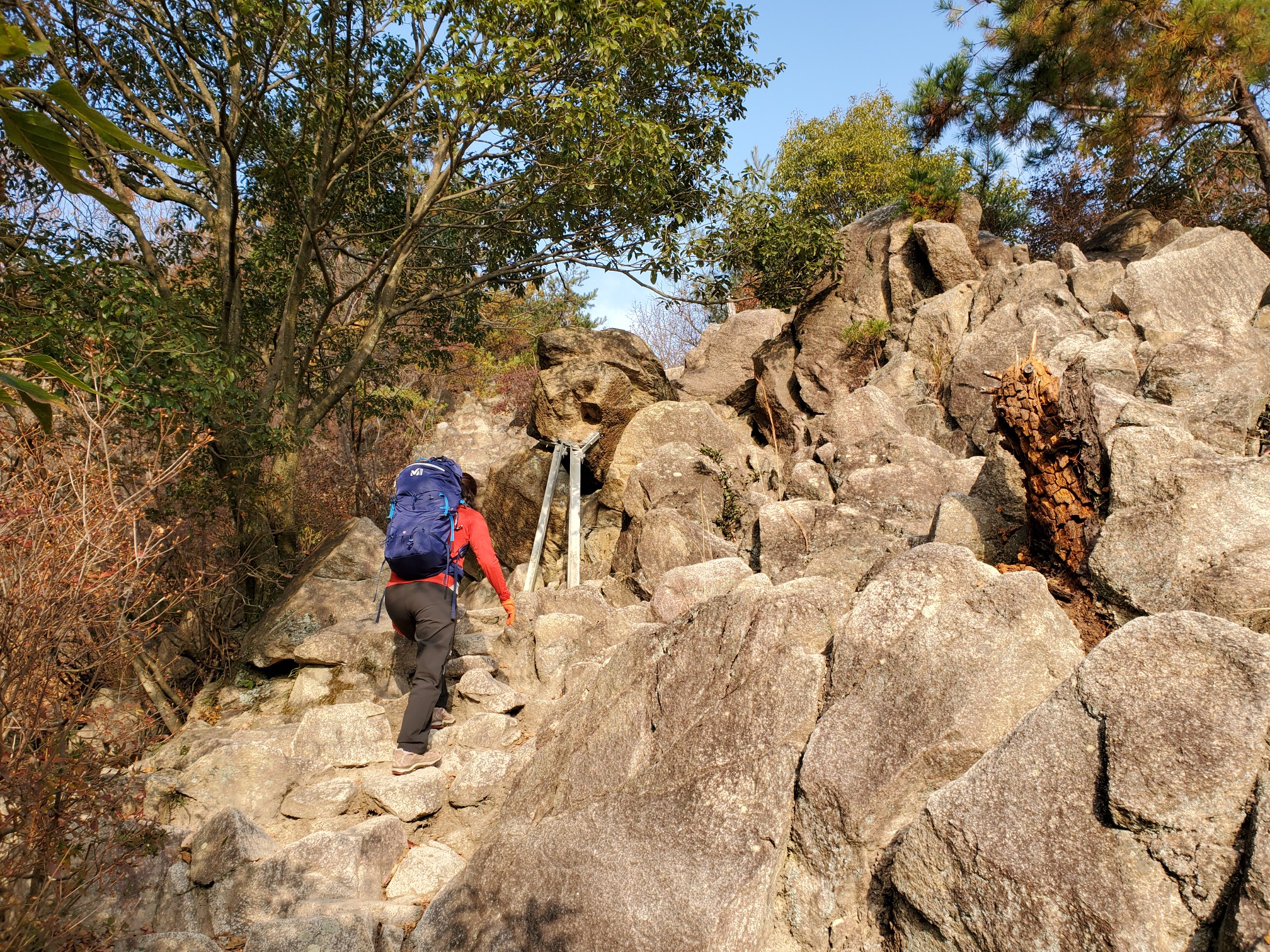 芦屋川駅 東おたふく山 六甲最高峰 有馬温泉 バスドラヨッシーさんの六甲山 長峰山 摩耶山の活動データ Yamap ヤマップ