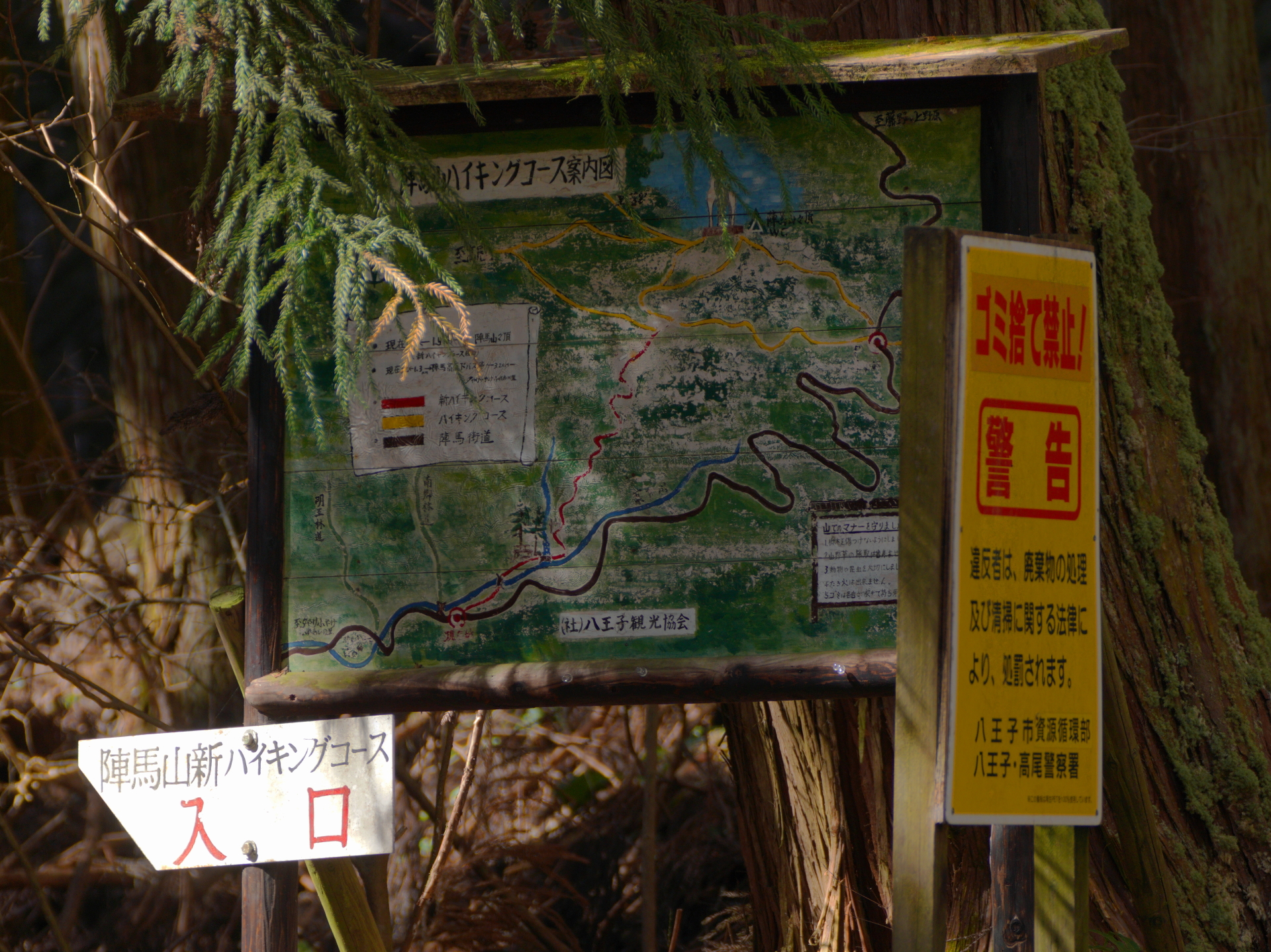 陣馬山 陣馬高原下からピストン アキチャン1491さんの生藤山の活動日記 Yamap ヤマップ