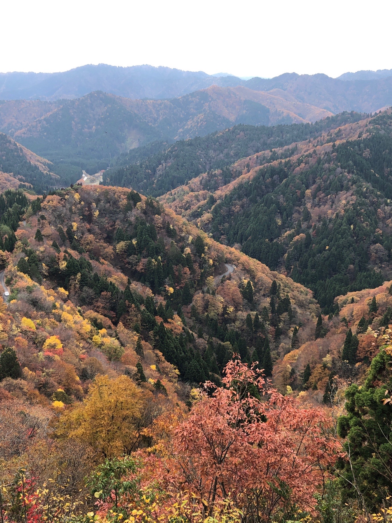 おにゅう峠雲海 百里ヶ岳登山 つくりゅうさんの百里ヶ岳 三国岳の活動データ Yamap ヤマップ