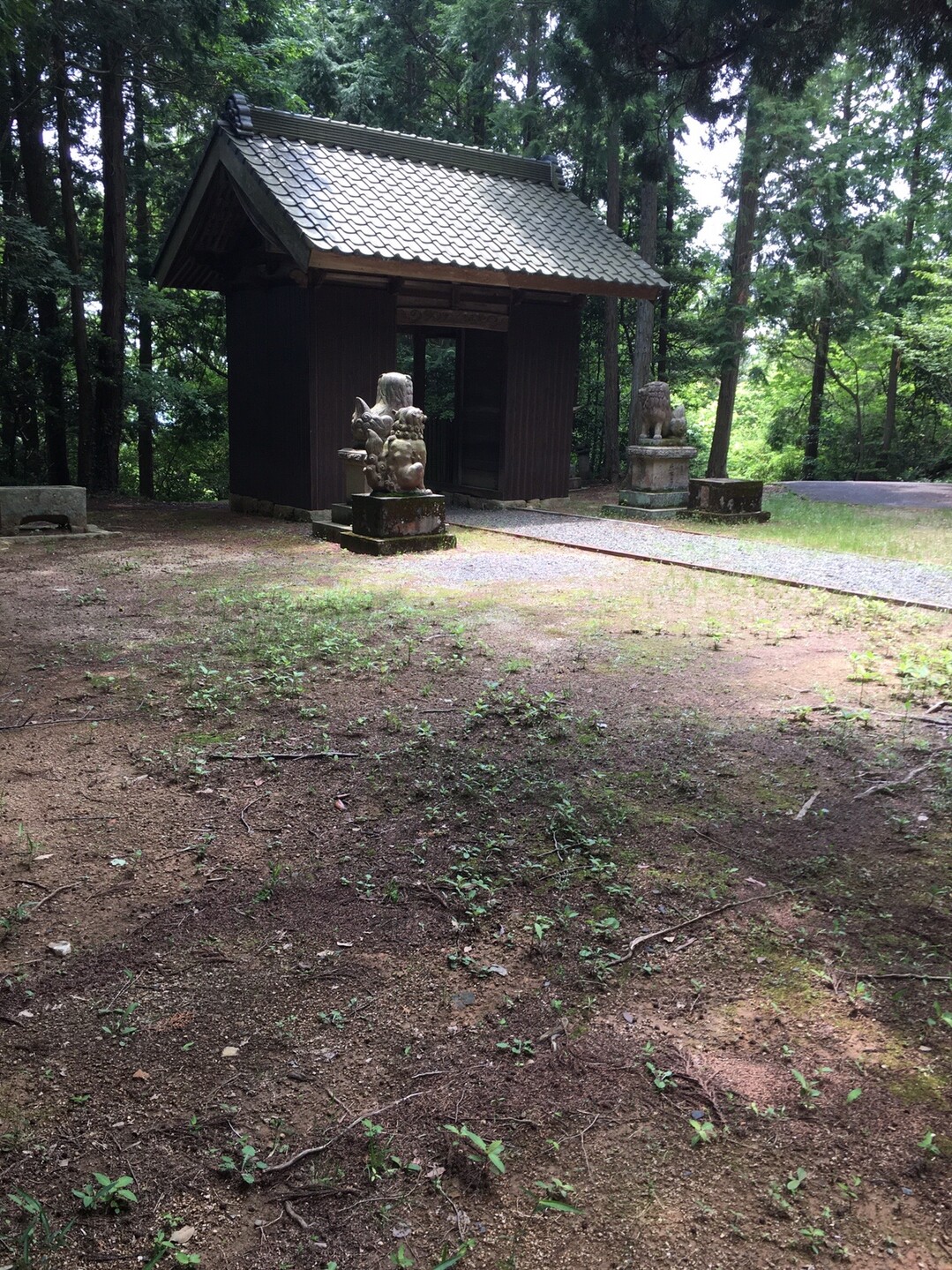 太戸の滝〜本宮高倉山の写真