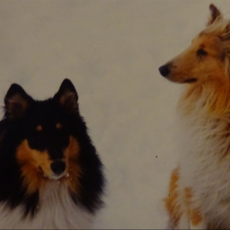 気象予報士隊長Ｏ