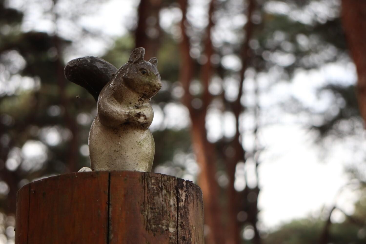 仕事前に八寸権現山 / ともさんの伊勢崎市の活動データ YAMAP / ヤマップ