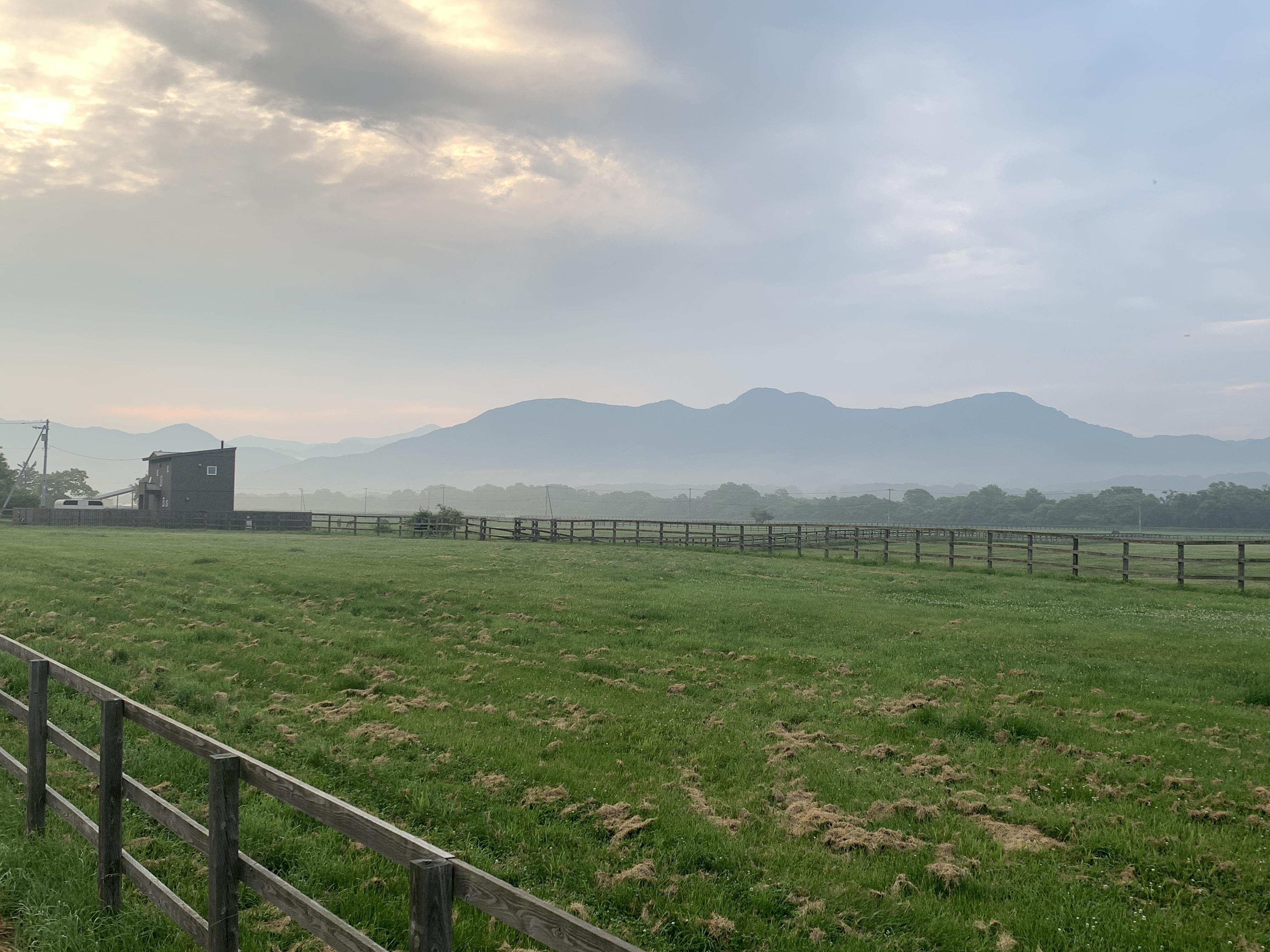 ピセナイ山！雄大な日高山脈の眺望をもとめて（2024年6月23日） / ちあしうさんのピセナイ山の活動データ YAMAP / ヤマップ