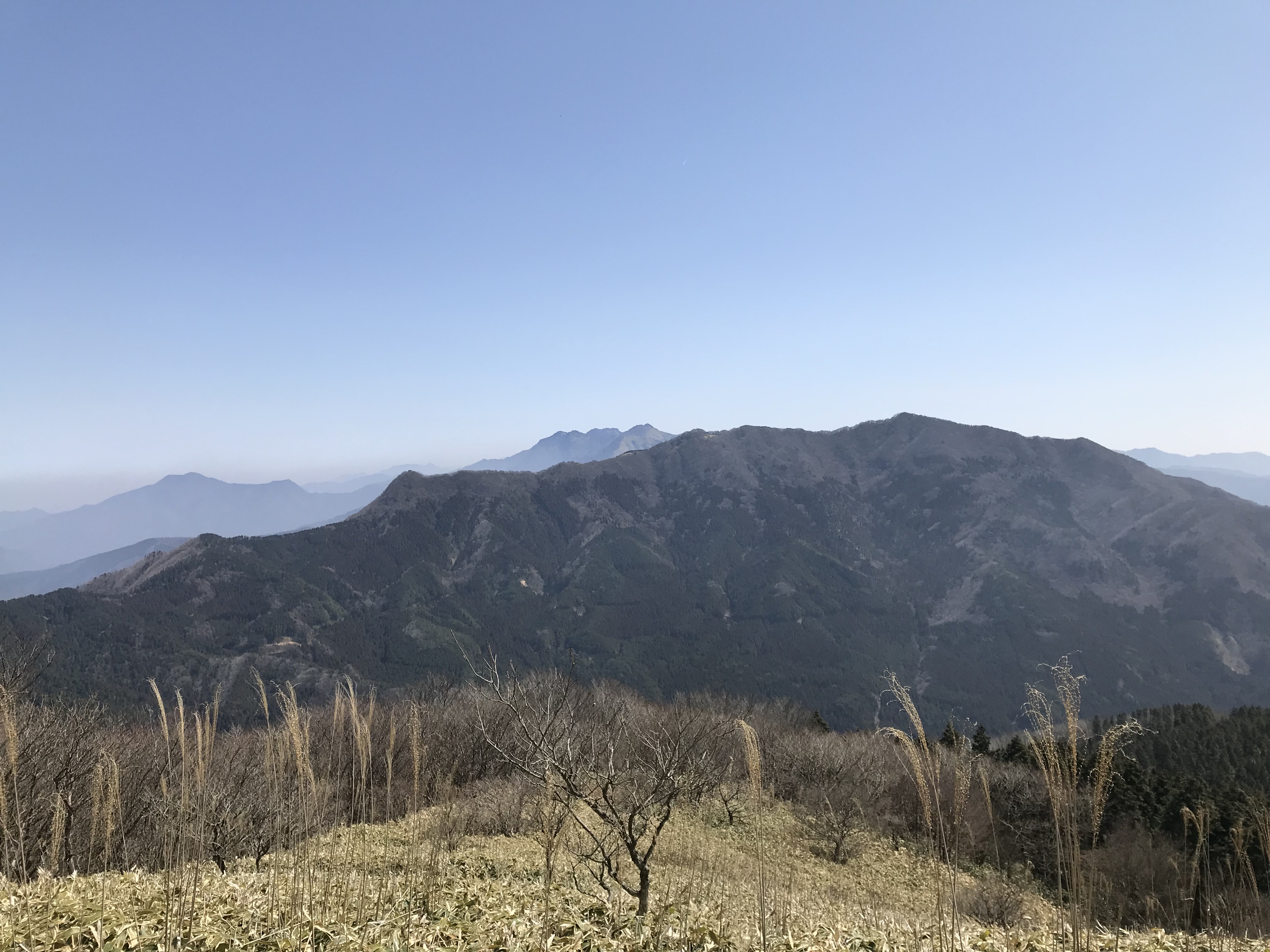 上林峠 白猪峠 Takatomoさんの皿ヶ嶺 梅ヶ谷山 うなめごの活動データ Yamap ヤマップ