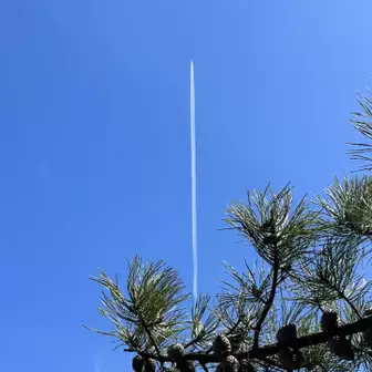 まっすぐのぼる飛行機✈️雲