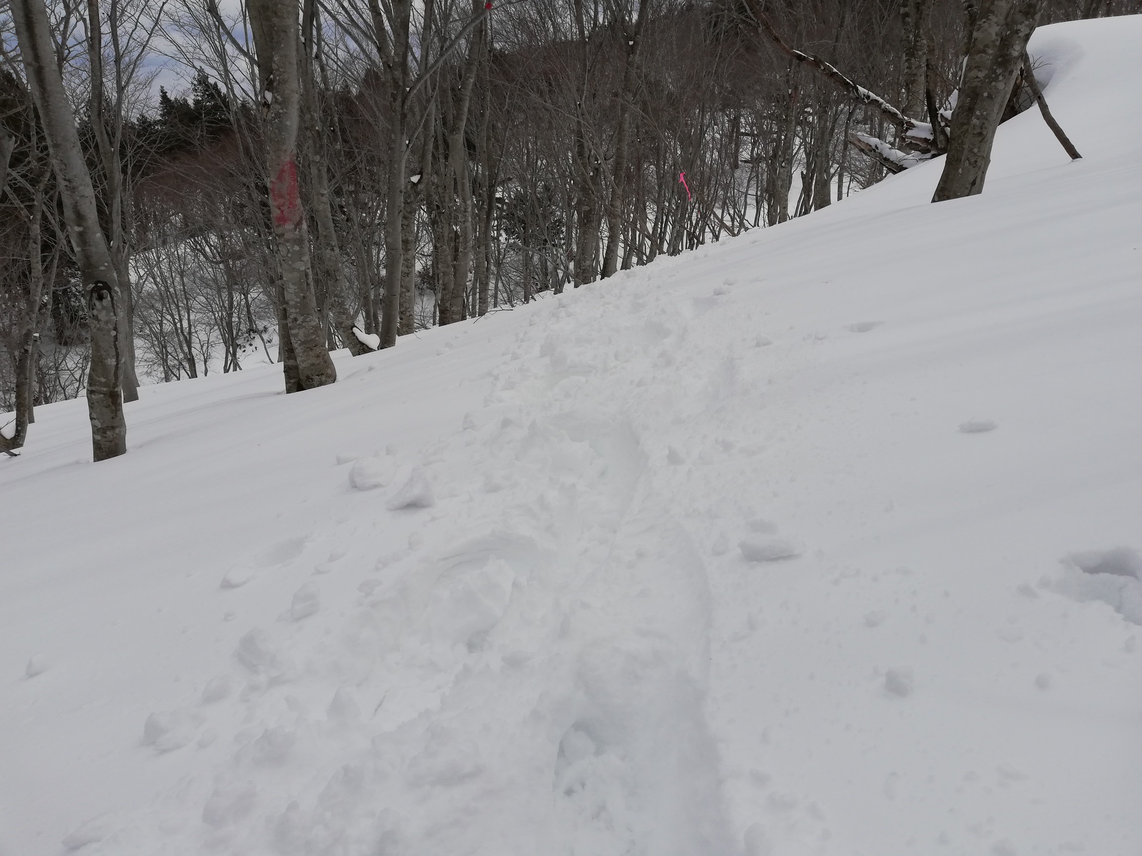 トレースあるってとても楽♪w