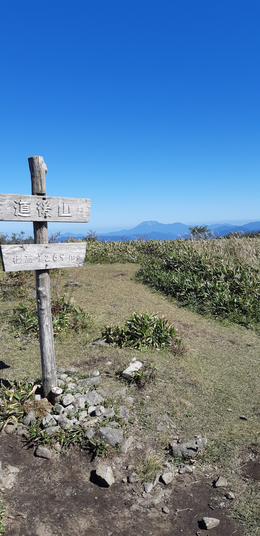 道後山・岩樋山《花の山》