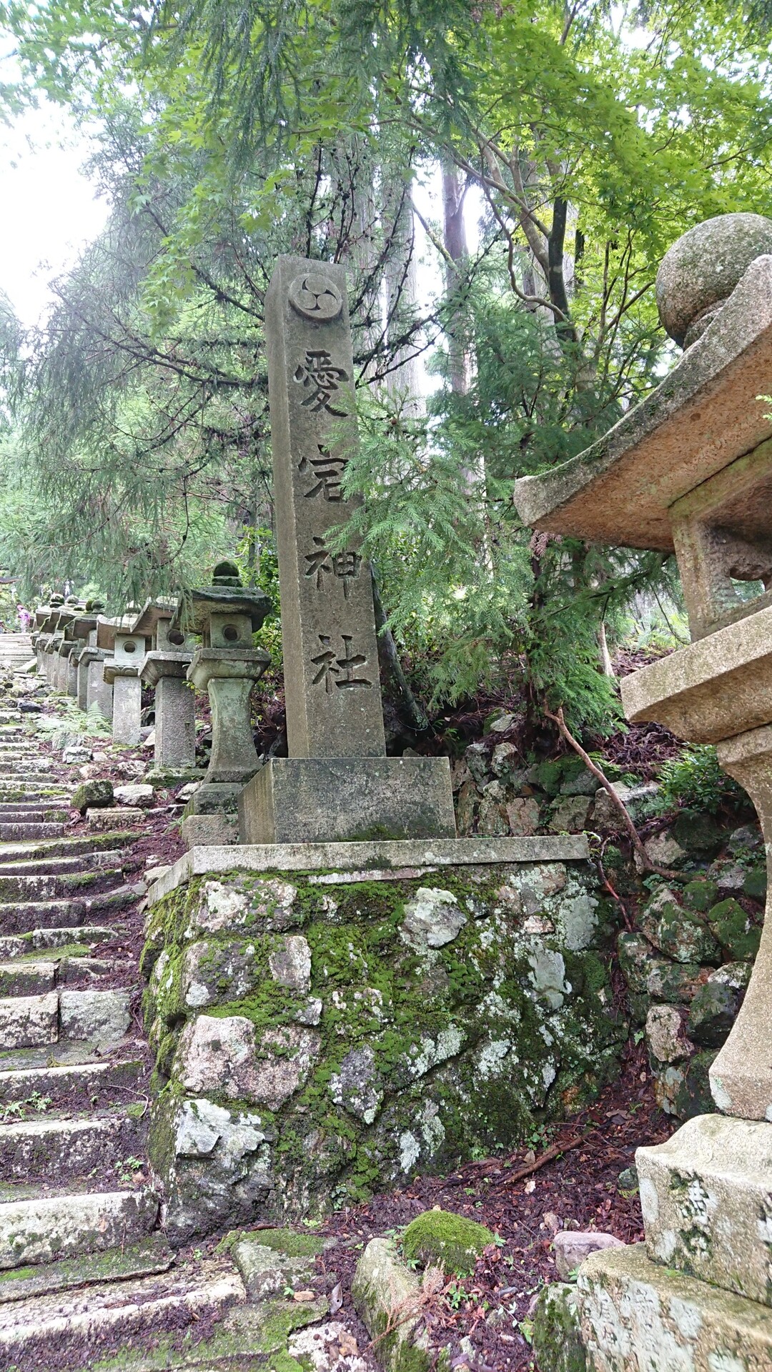 愛宕山千日参り 地蔵山 三頭山 まさとしさんの愛宕山 三頭山 朝日峯の活動データ Yamap ヤマップ