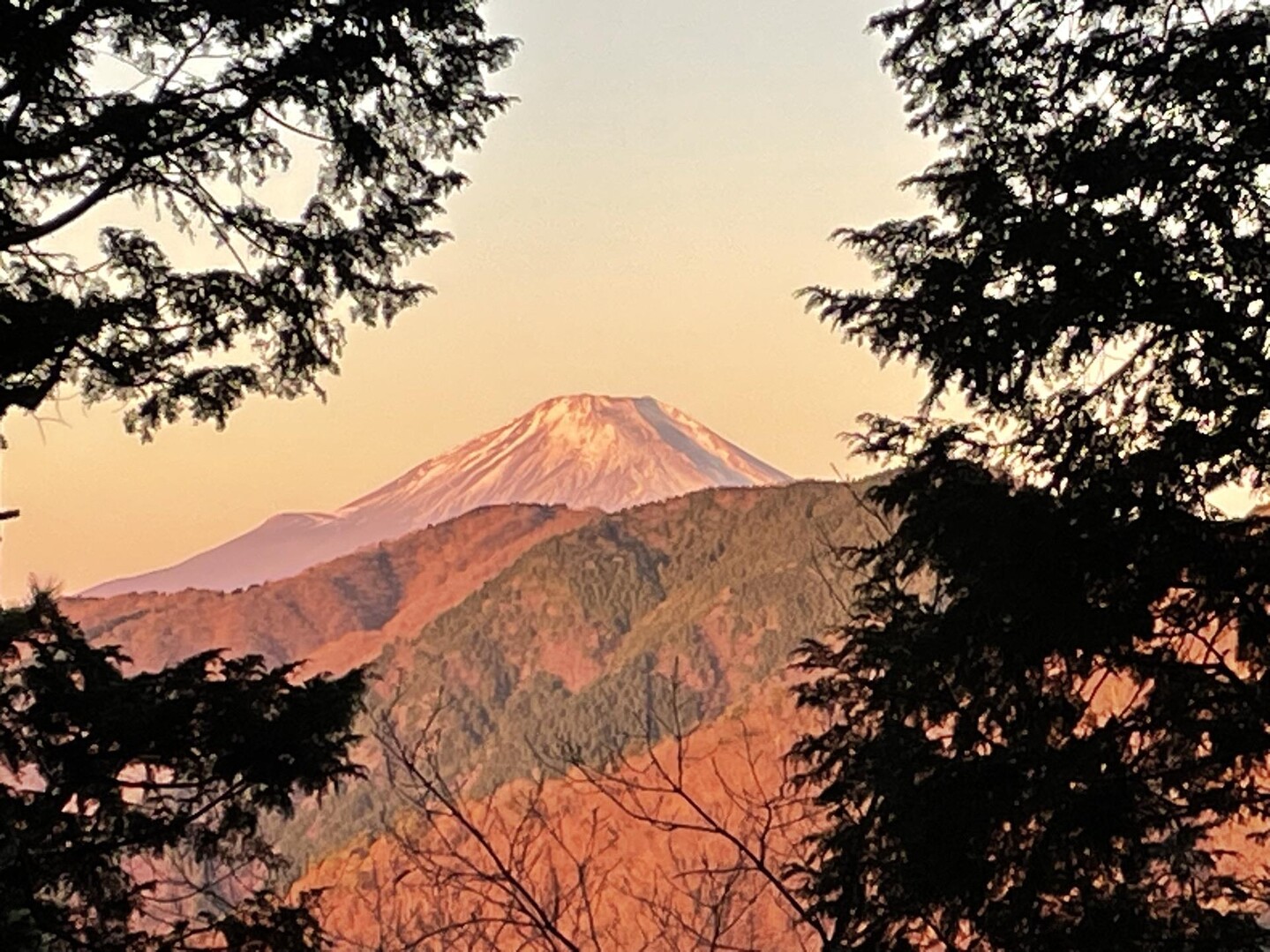 丹沢山塊1人旅 / 大輔さんの塔ノ岳・丹沢山・蛭ヶ岳の活動データ YAMAP / ヤマップ