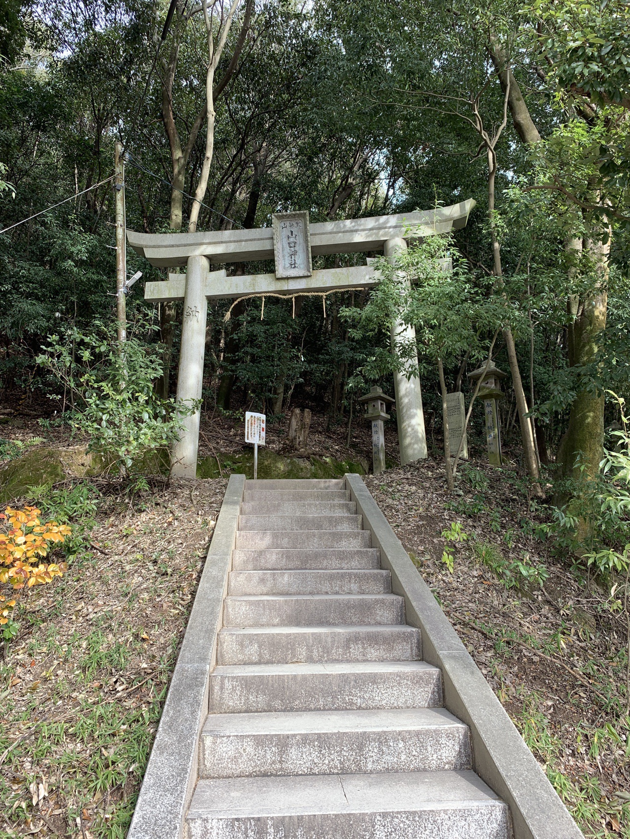 のび太を探しに へべれけさんの大和三山 天香久山 畝傍山 耳成山 の活動日記 Yamap ヤマップ