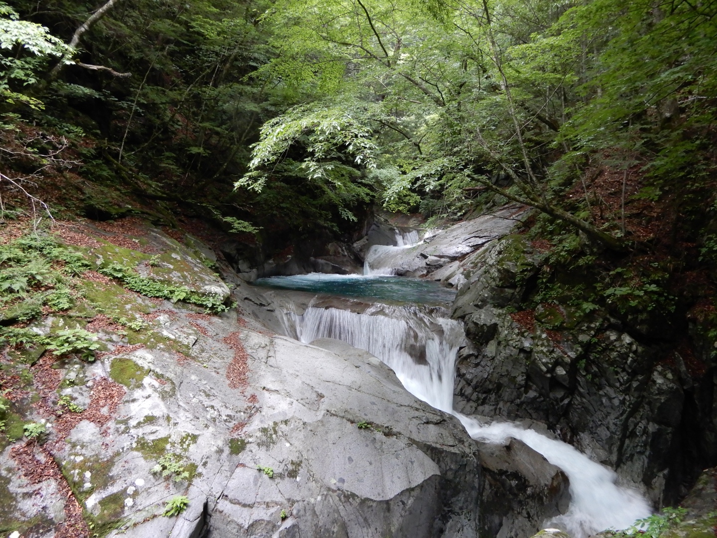 雨の西沢渓谷 19 06 22 Inaukinさんの乾徳山 黒金山の活動データ Yamap ヤマップ
