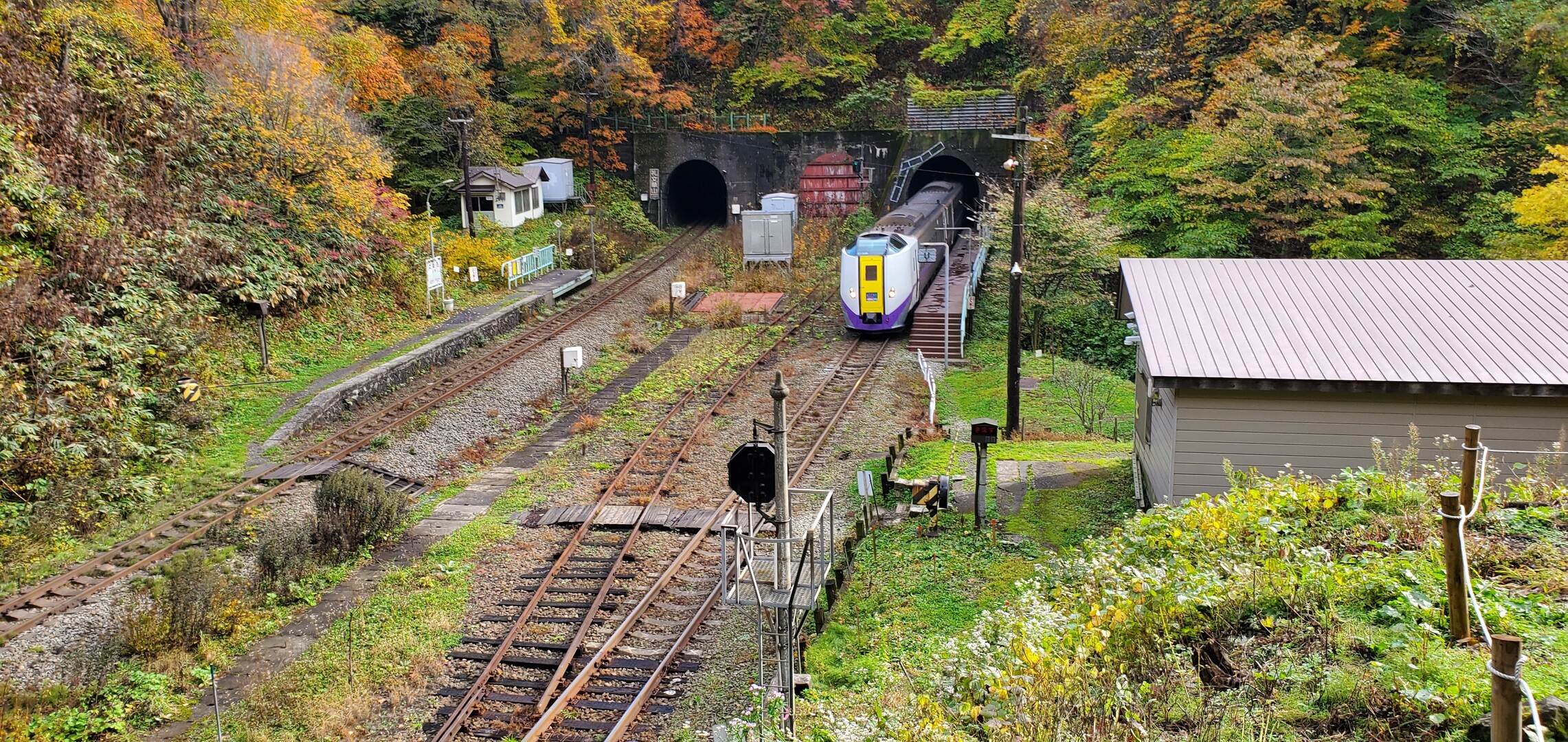 小幌駅から礼文華山道🚶 / そうちゃんさんの礼文華峠の活動データ | YAMAP / ヤマップ
