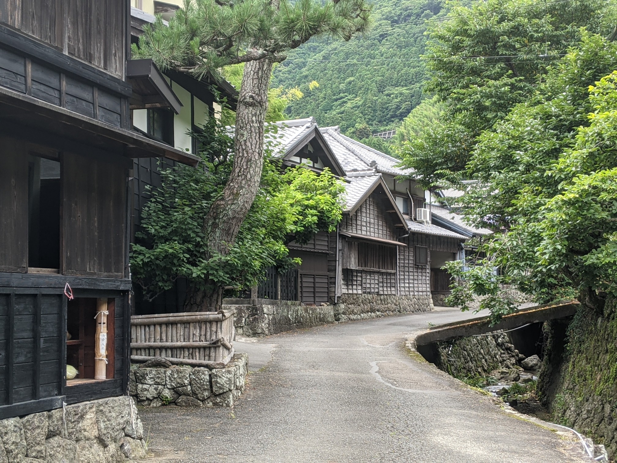 宇津の谷入口ー満観峰ー花沢の里ー焼津駅 たたどいりたさんの焼津アルプス 高草山 満観峰 花沢山 徳願寺山の活動日記 Yamap ヤマップ