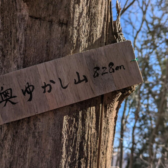 堂平山・笠山（乳房山）・大霧山 818峰
⛰️奥ゆかし山との山名板が