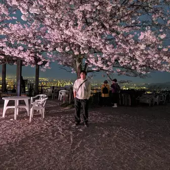 夜桜と松山市の夜景‼️😍
このコントラスト絶妙に好き‼️🤗