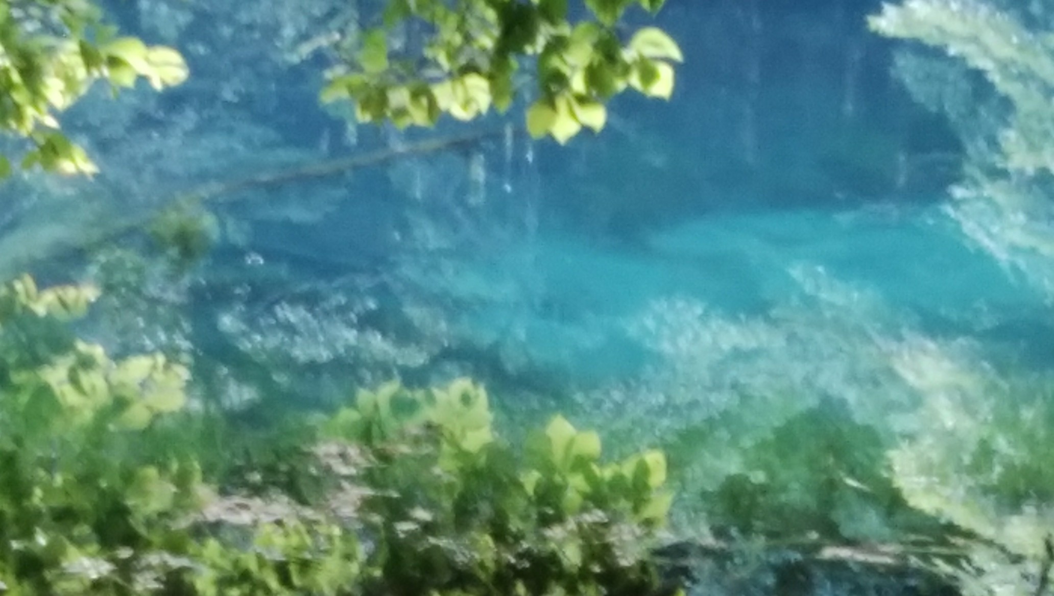 青 い丸池様と 梅花藻 ー 遊佐町 06 23 フェレさんの遊佐町の活動データ Yamap ヤマップ