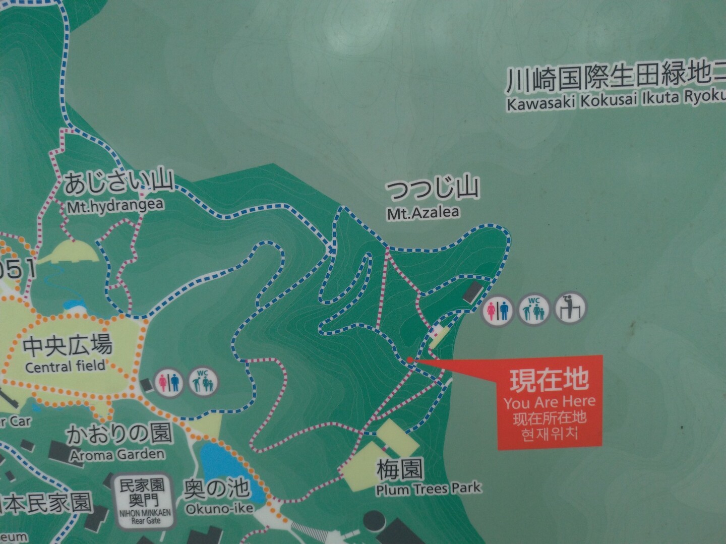 枡形山 飯室山 生田緑地 19 05 18 くらりんさんの国分寺市の活動日記 Yamap ヤマップ