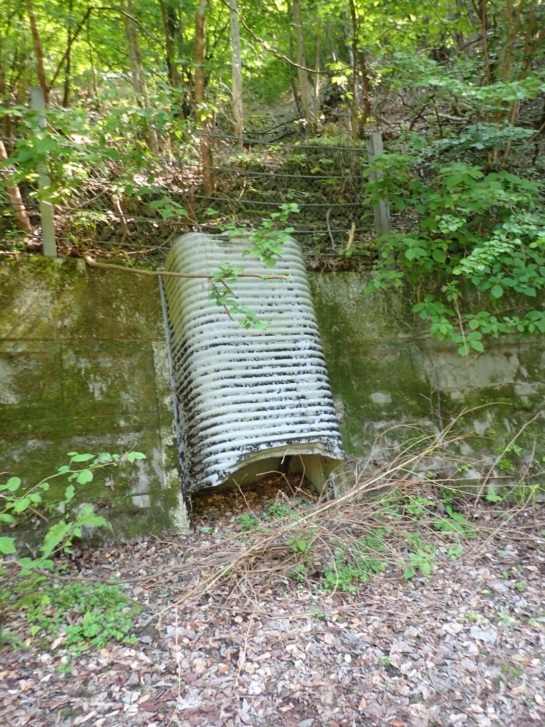 白久駅〜城山〜熊倉山〜武州日野駅 / 雲取山・鷹ノ巣山・七ツ石山の写真95枚目 / 更衣室？な訳ないか。 YAMAP / ヤマップ