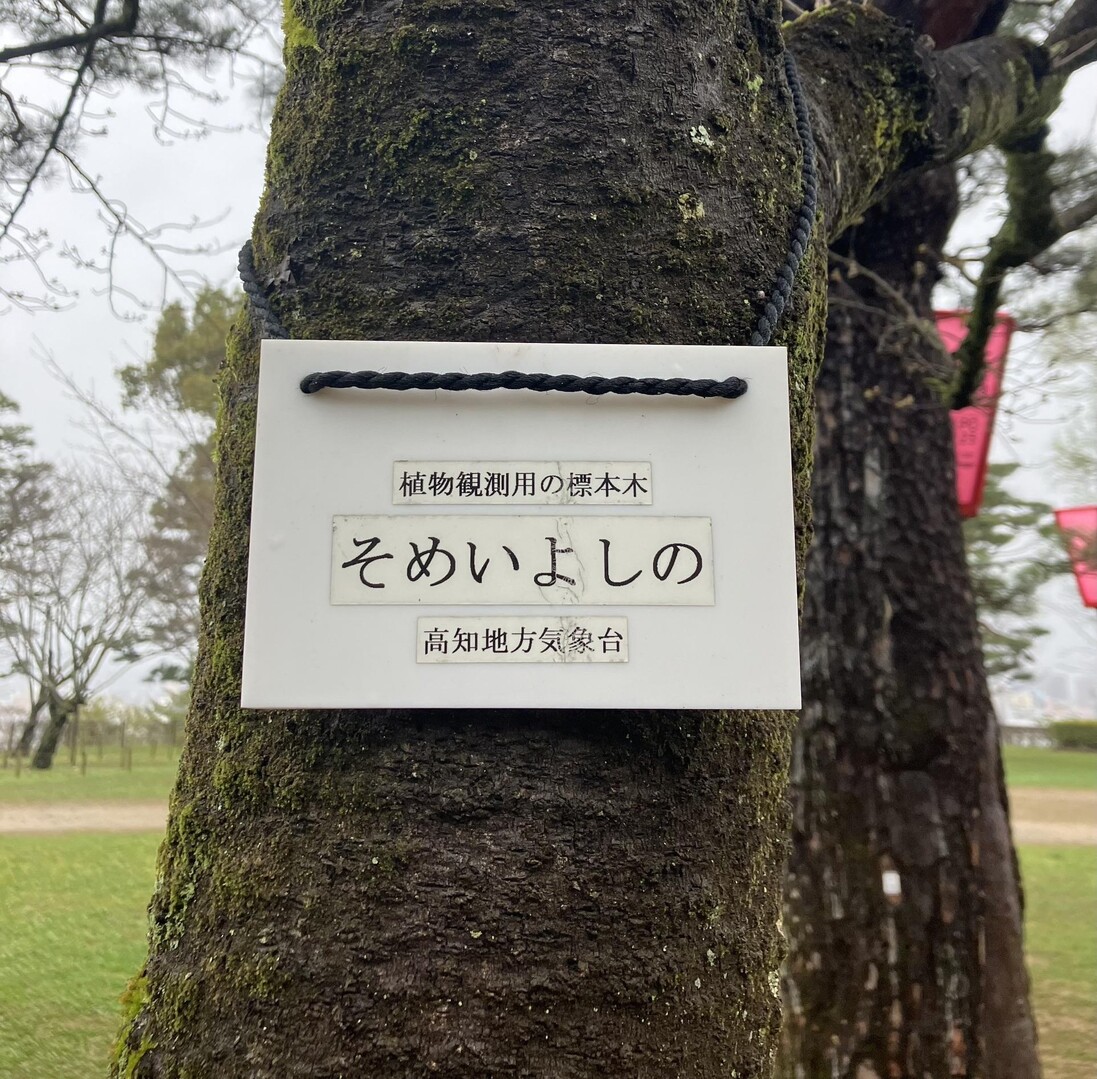 小高坂山・大高坂山(高知城 / そらまめさんの鴻ノ森・椎野峠・西ノ峰山の活動データ YAMAP / ヤマップ