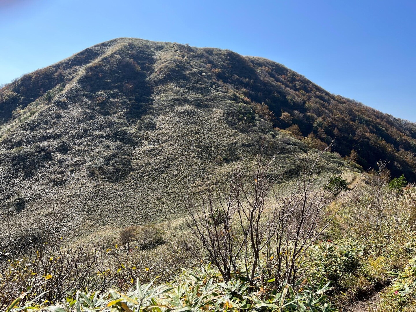赤雁山・子三瓶山・孫三瓶山・大平山・女三瓶山・兜山・男三瓶山(三瓶山) / ヒロさんの三瓶山・大平山の活動データ YAMAP / ヤマップ