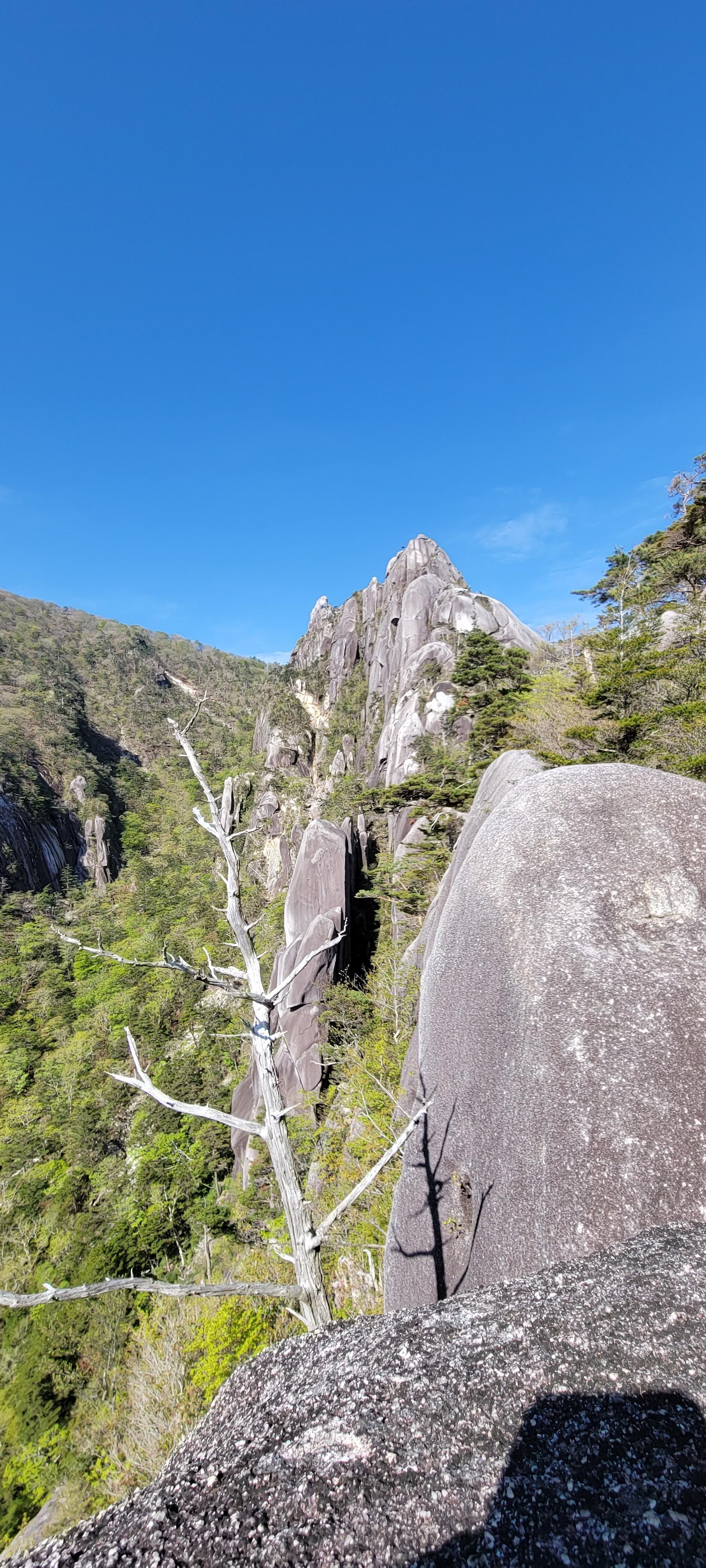 大崩山 / Kyonkyonさんの大崩山・五葉岳・新百姓山の活動データ YAMAP / ヤマップ