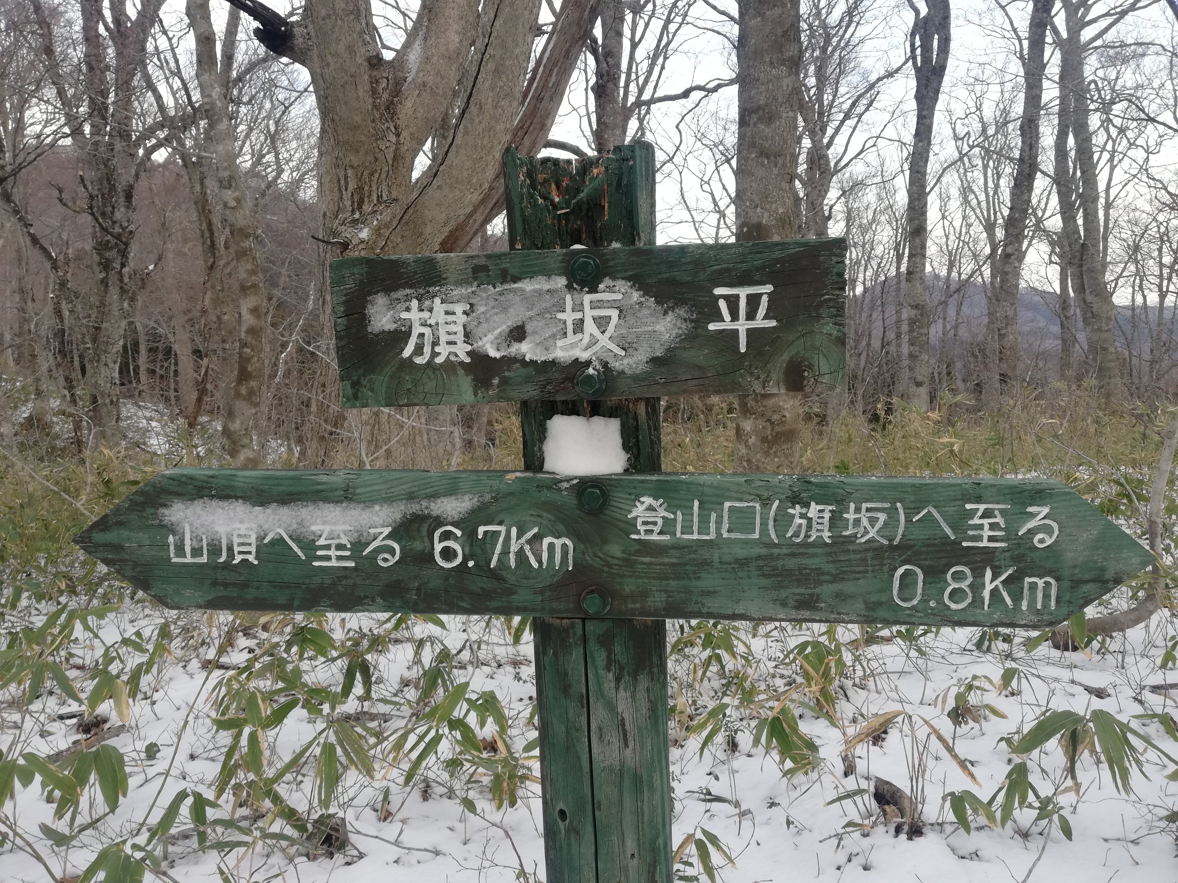 船形山(御所山)・泉ヶ岳・蛇ヶ岳 旗坂平