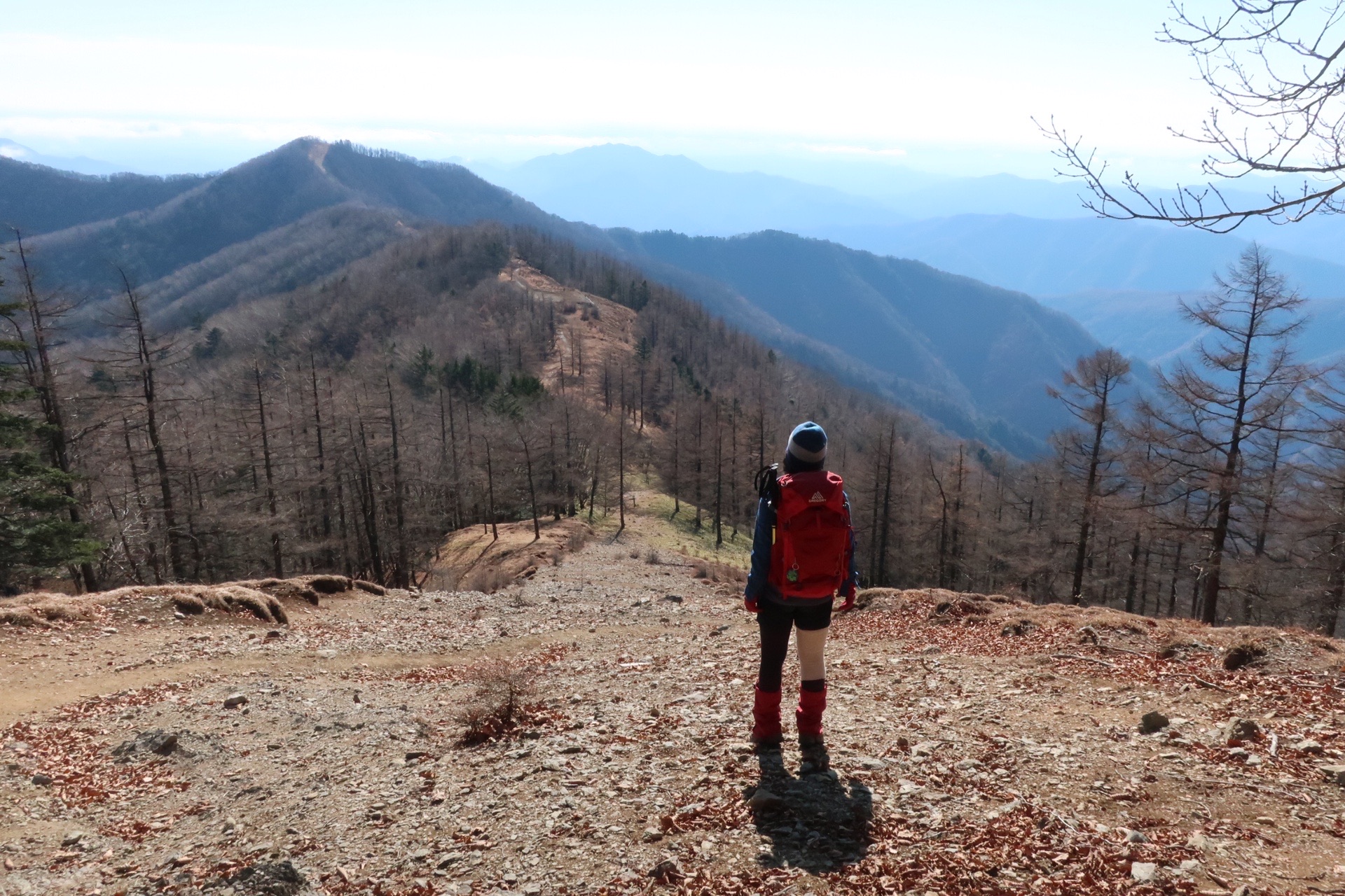 ゆっくり楽しめた 雲取山 ヤマナカさんの雲取山 鷹ノ巣山 七ツ石山の活動データ Yamap ヤマップ