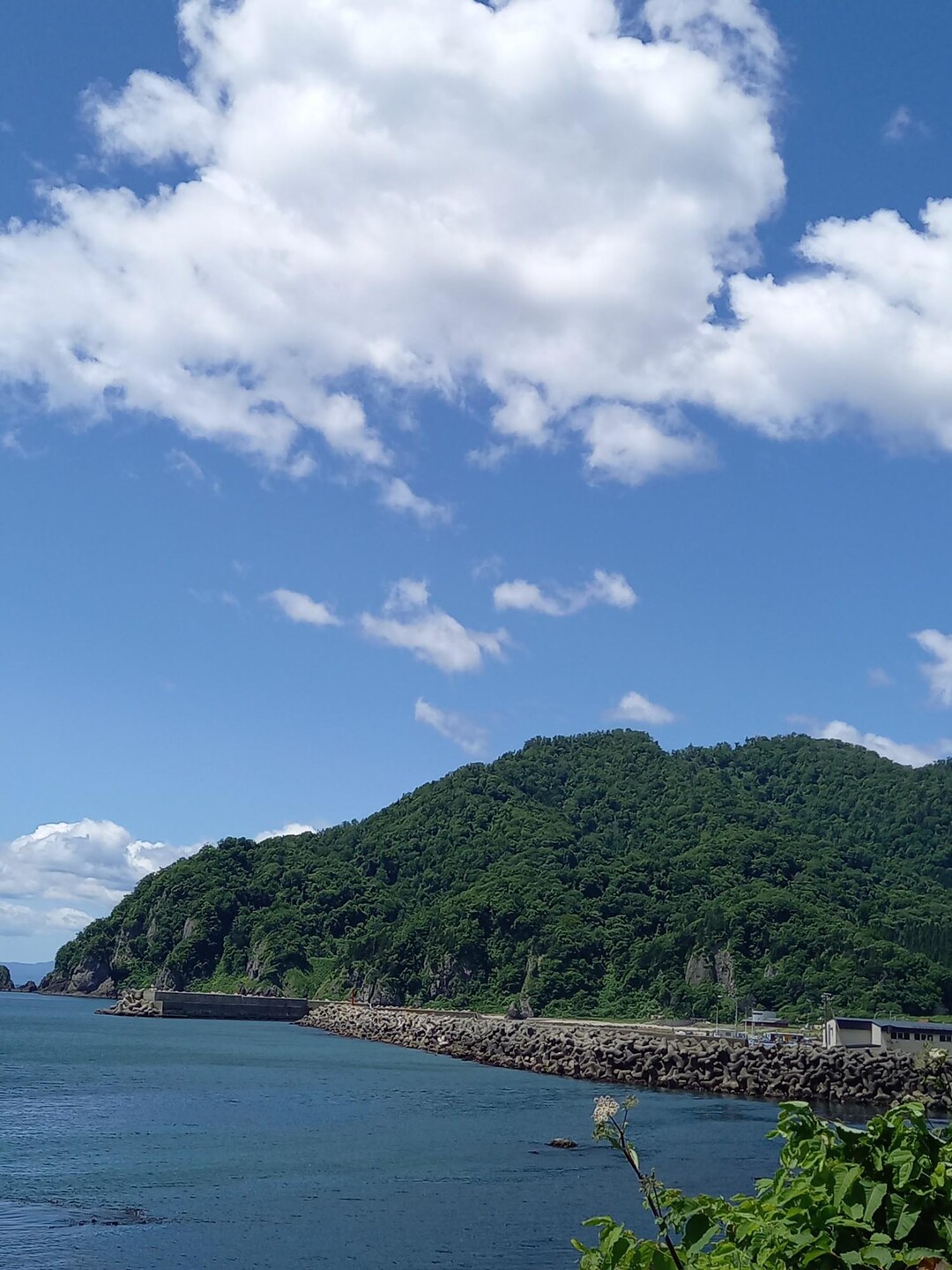 幌扶斬山 2023-06-18 / シグナルさんの礼文華峠の活動日記 | YAMAP / ヤマップ