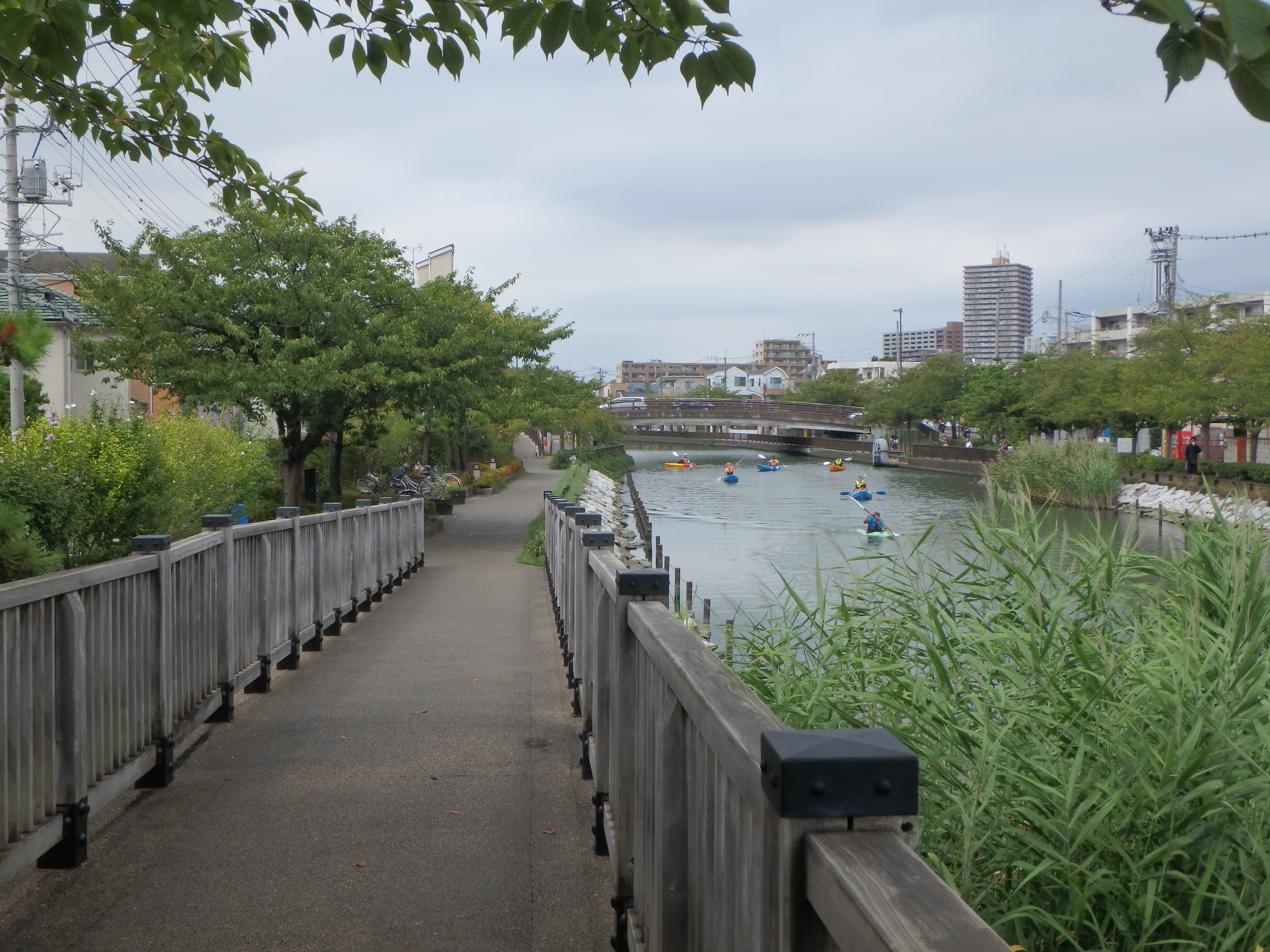 新川 旧江戸川水辺歩き 09 13 日帰り山歩さんの東京都23区 東エリアの活動日記 Yamap ヤマップ