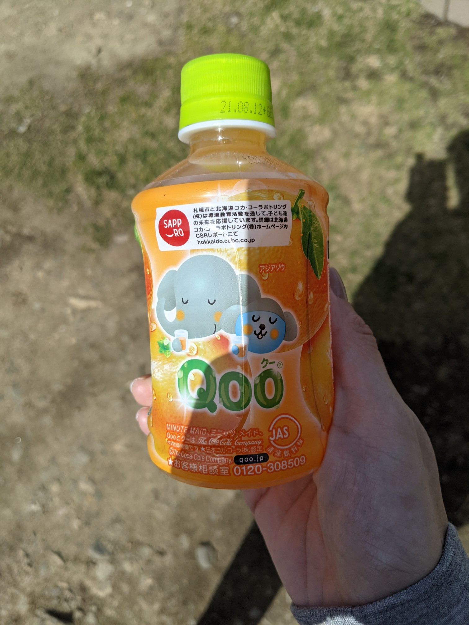 またオレンジでた ﾟdﾟ ﾍﾟｯ ゆかちんさんの藻岩山の活動データ Yamap ヤマップ