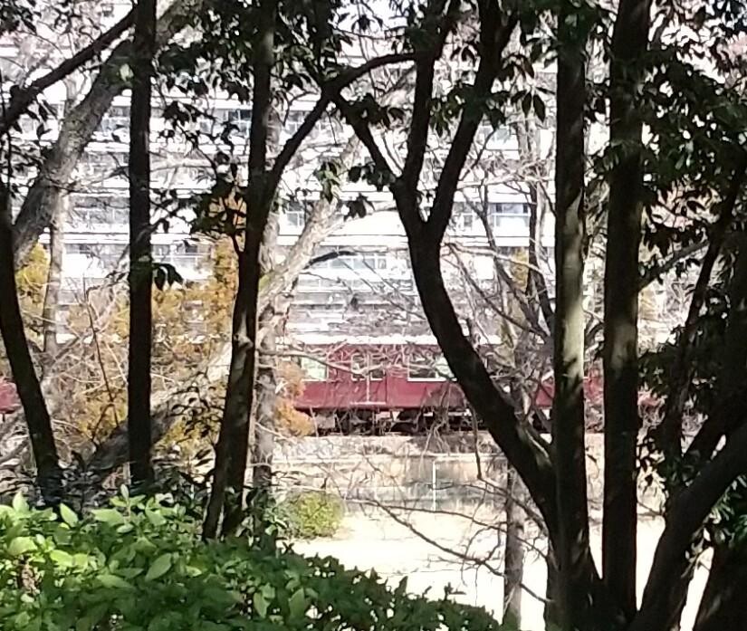 子ども達を連れて、古江公園に行きました。... / うめっちさんのモーメント YAMAP / ヤマップ