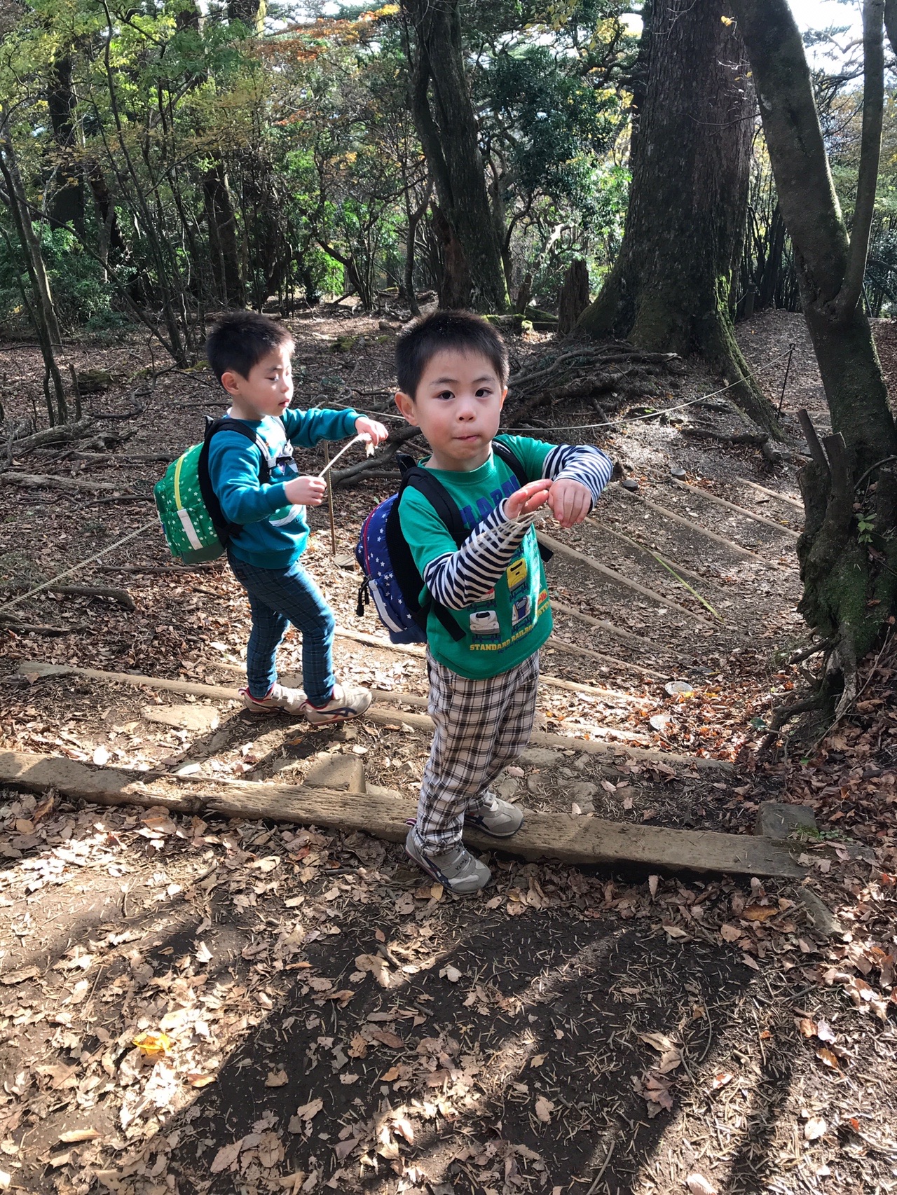 子供に連れられて 大山 神奈川県 Renさんの大山の活動データ Yamap ヤマップ