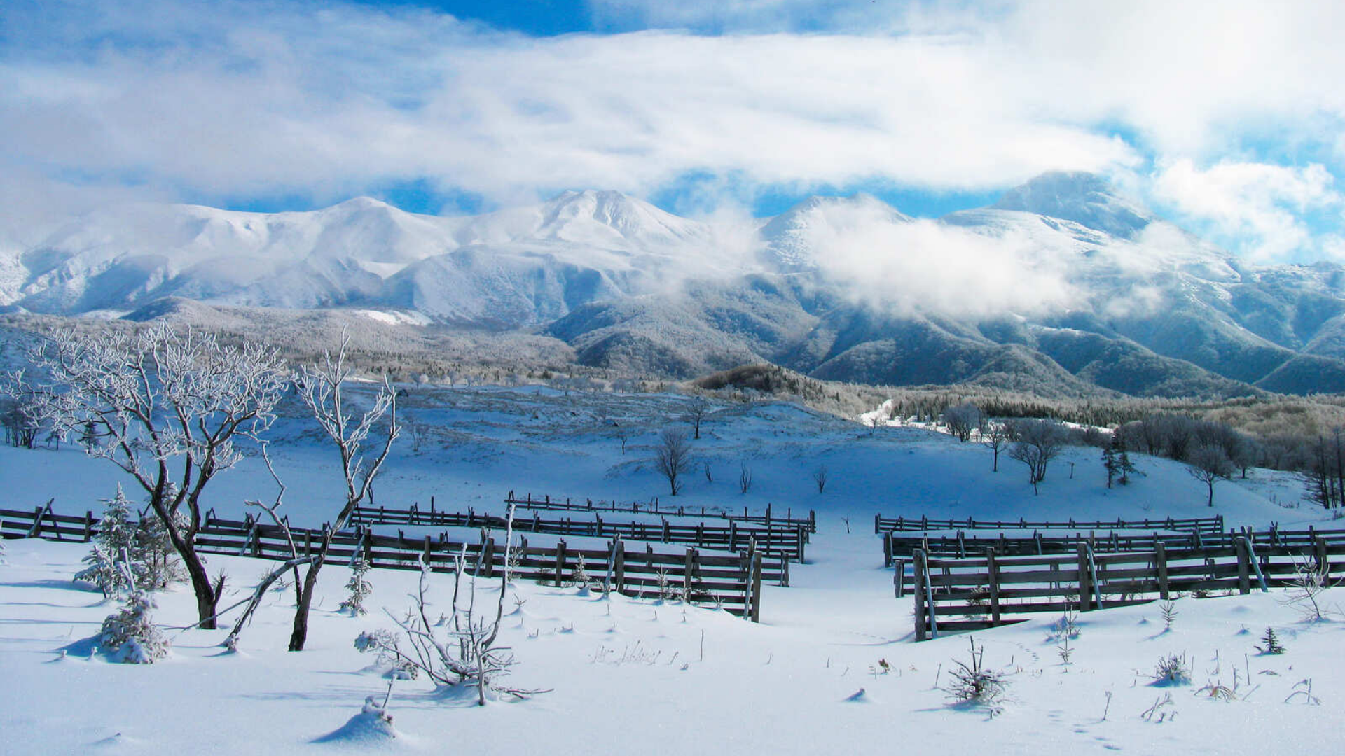 知床の森を育てる
