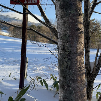 四阿山・根子岳 ここから広い雪原が広がります