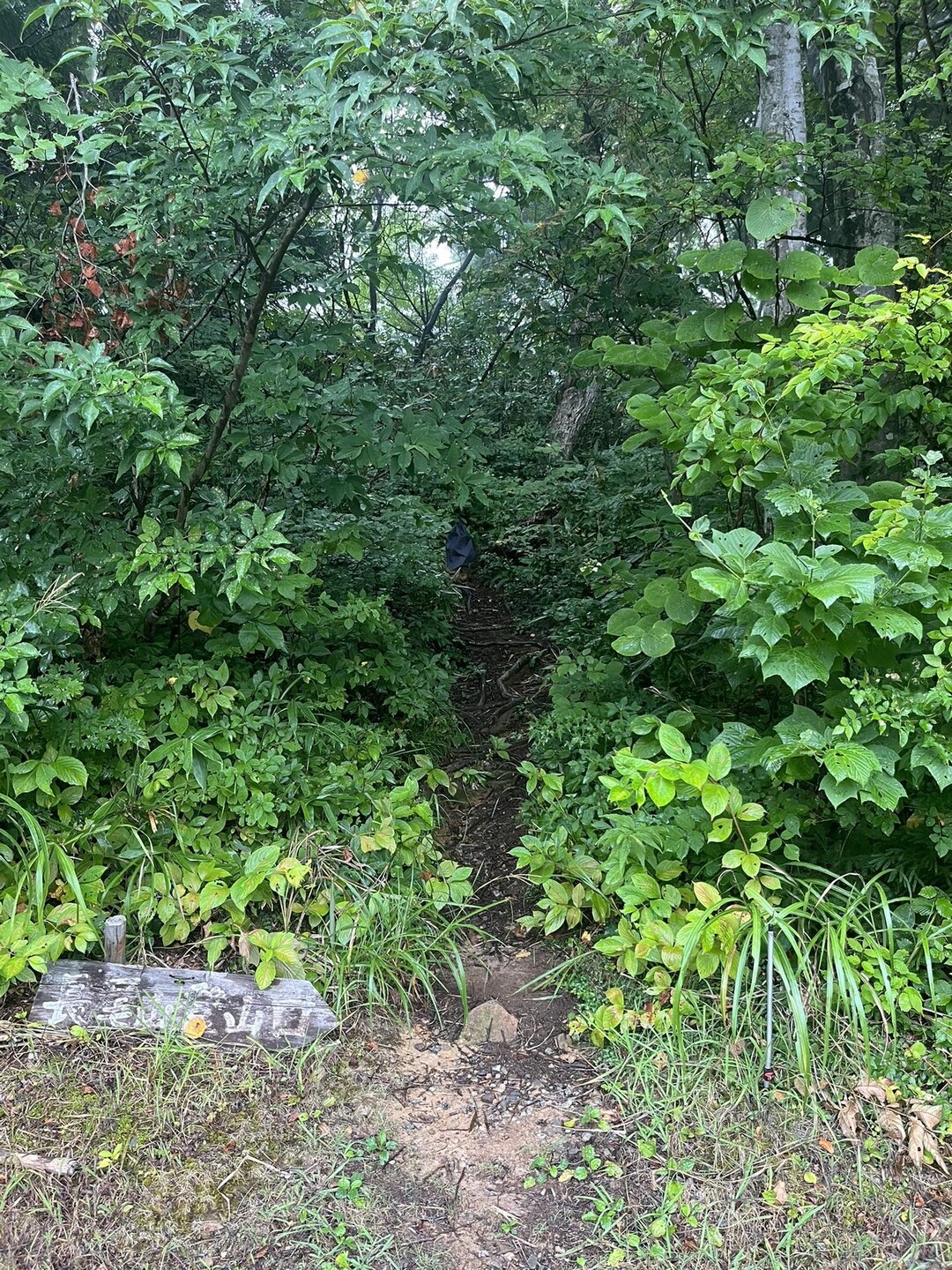 長尾山・奥長尾山・大辻山 / じゅんさんの立山・雄山・浄土山の活動データ YAMAP / ヤマップ