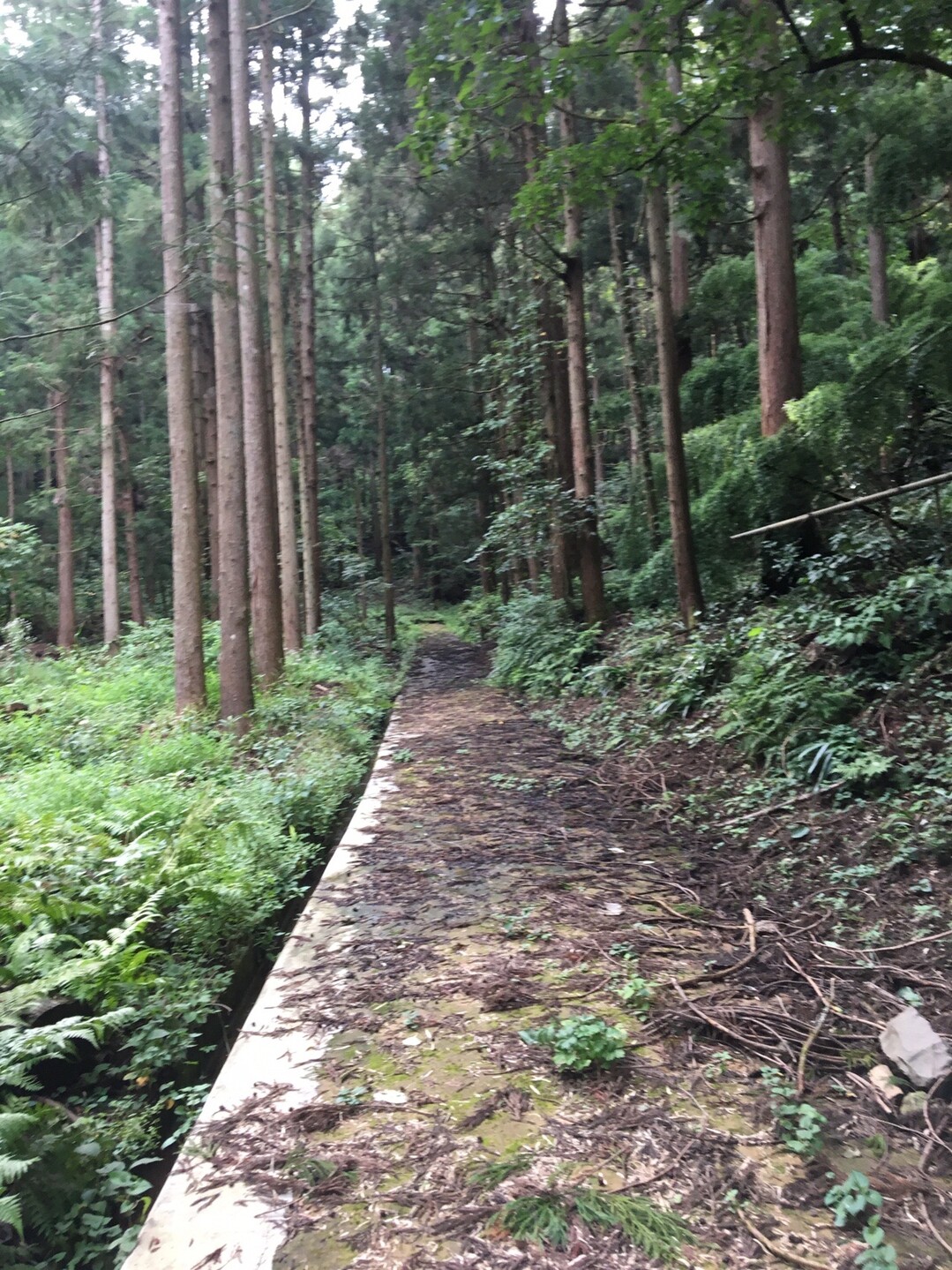 初めての 弁財天山 鯖江市 のっぽ さんの鯖江市の活動日記 Yamap ヤマップ