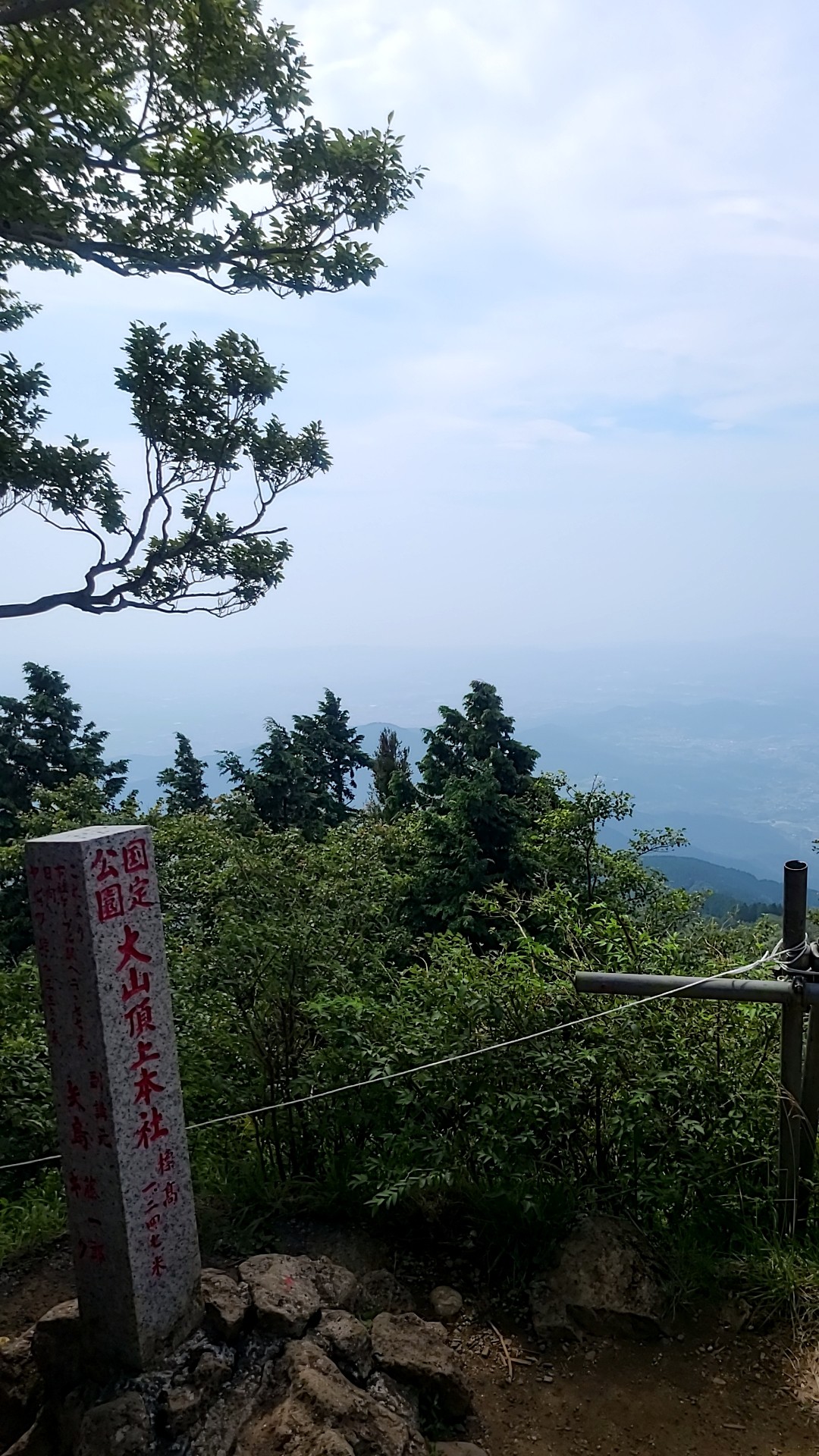 秦野駅 ヤビツ峠 大山山頂 大山バス停までのトレランでした Ayapapachanさんの丹沢山の活動データ Yamap ヤマップ