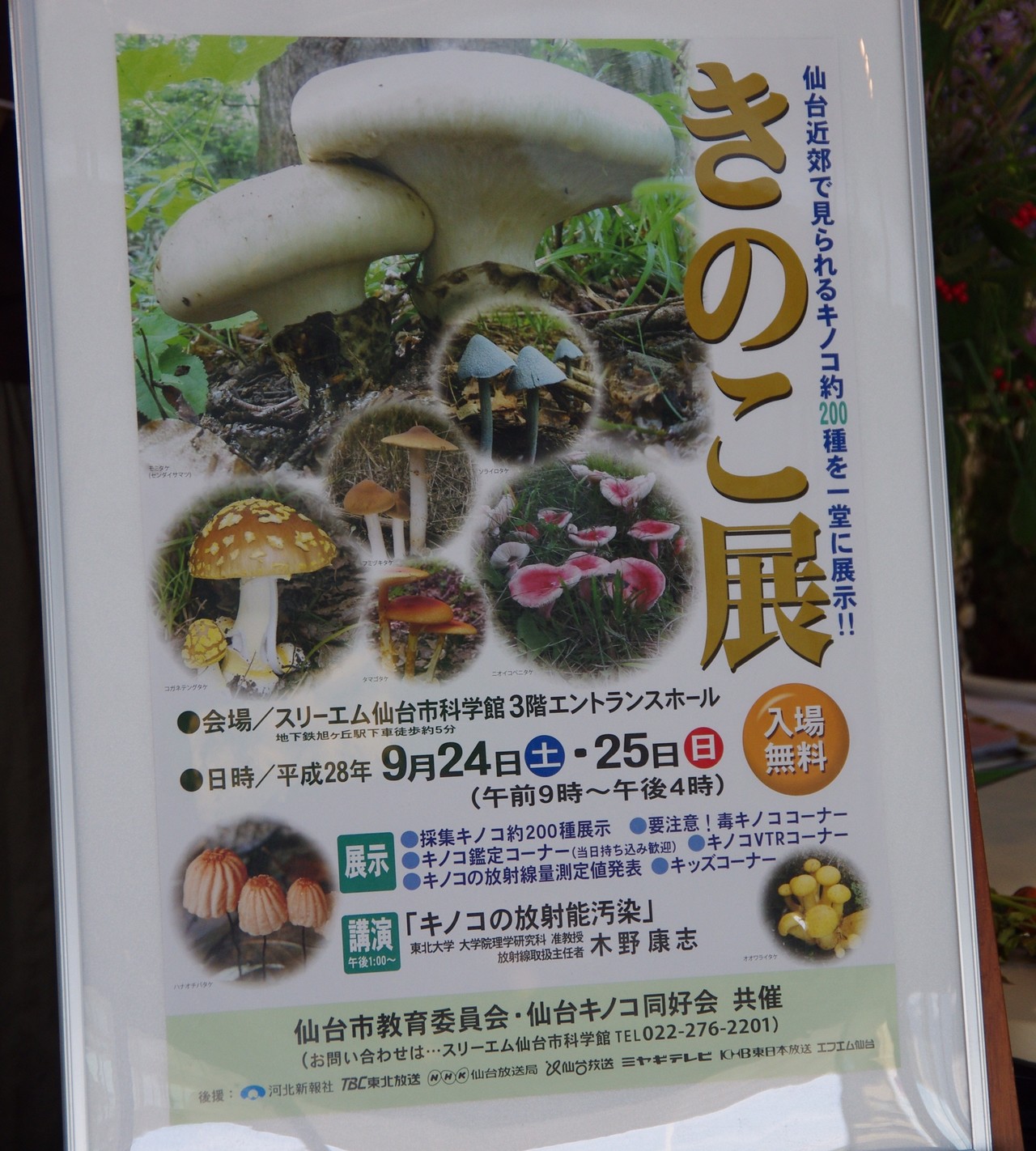 仙台市科学館にてキノコのお勉強 とても素人には無理ですね 北の旅人さんの仙台市の活動データ Yamap ヤマップ