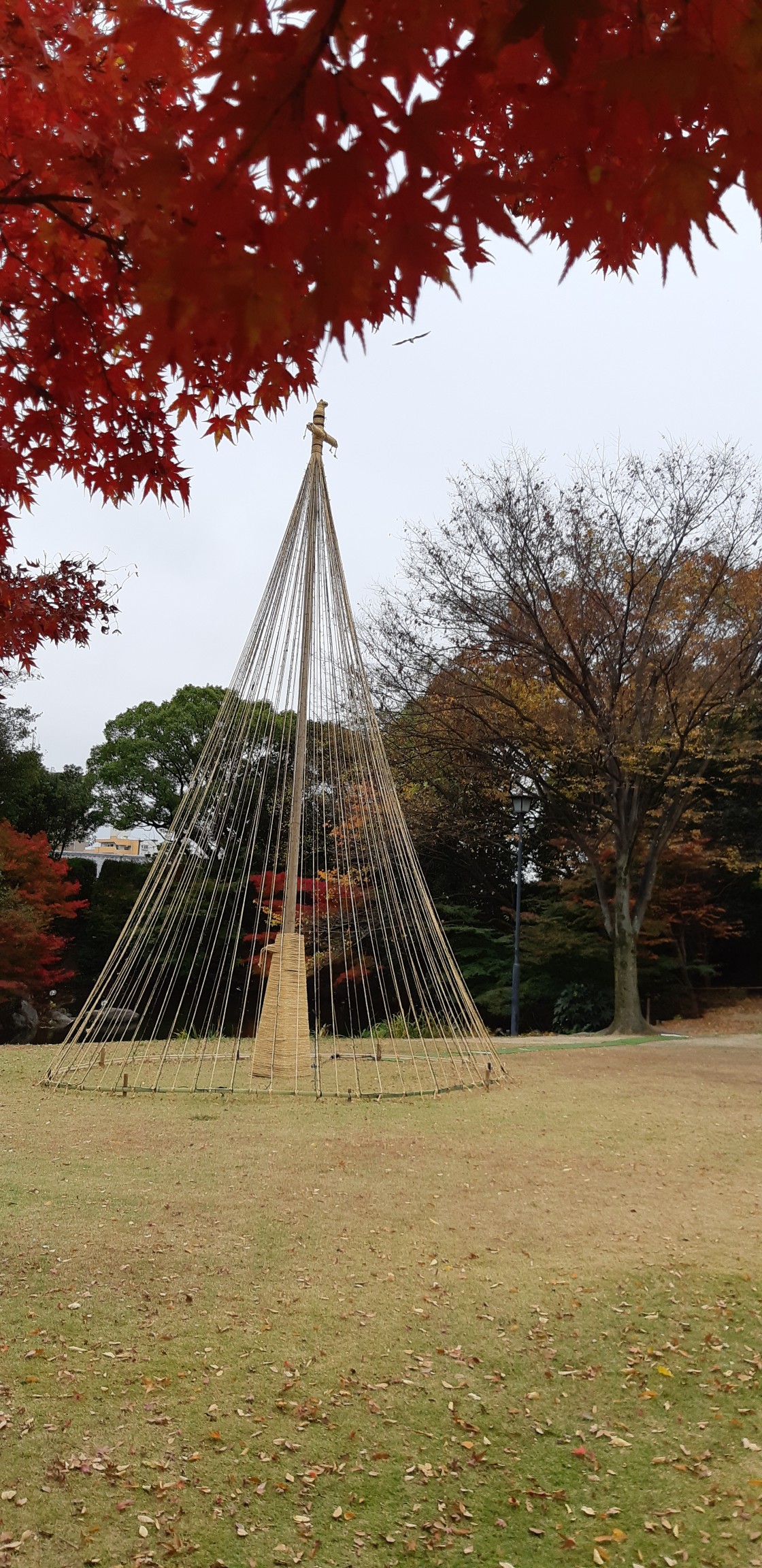 名古屋市内散策 金山駅 センチュリーホール 国際会議場 白鳥庭園 Yasu1210mさんの東海道五十三次 宮宿 桑名宿 の活動日記 Yamap ヤマップ